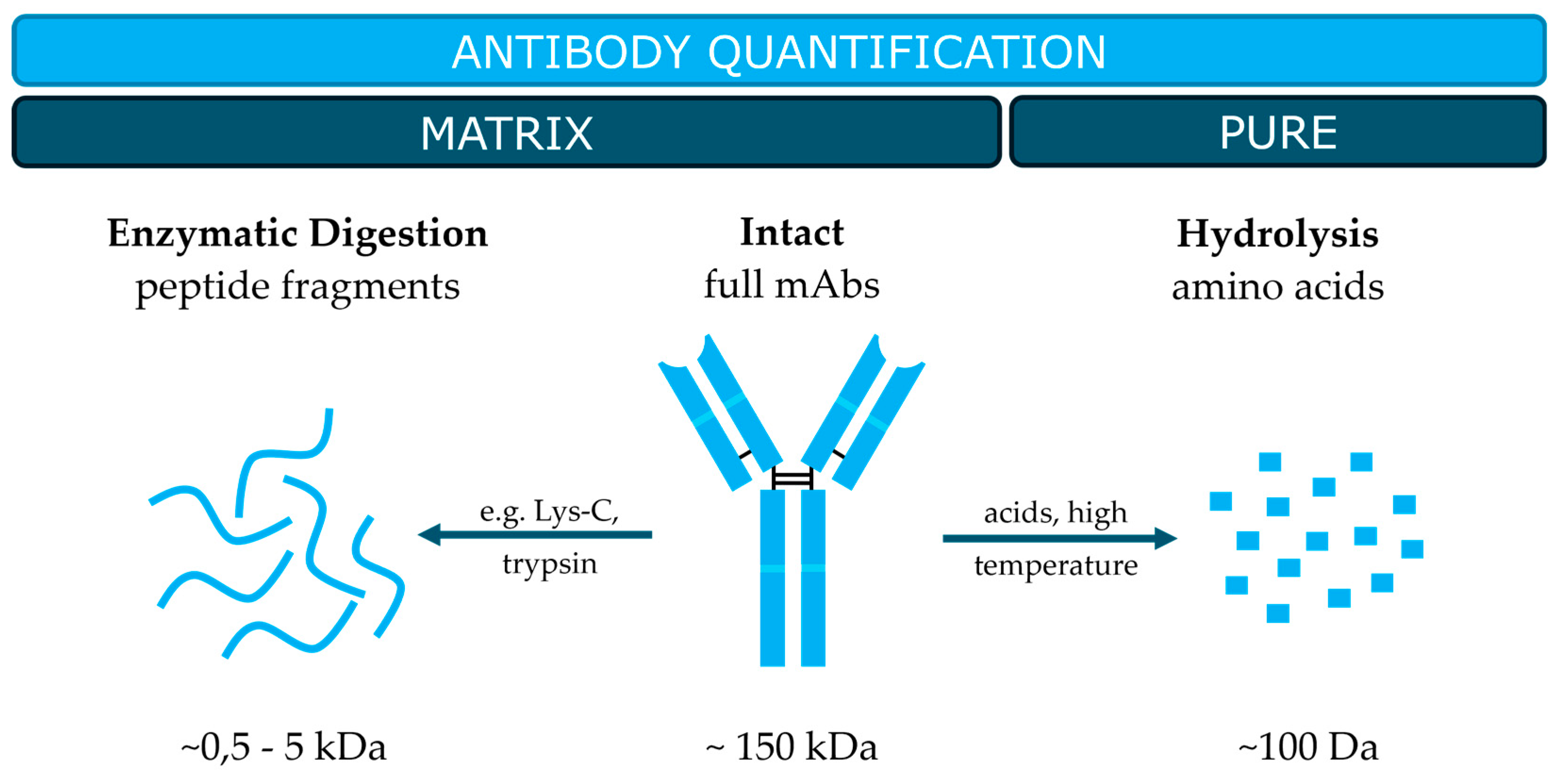 Preprints 142589 g002