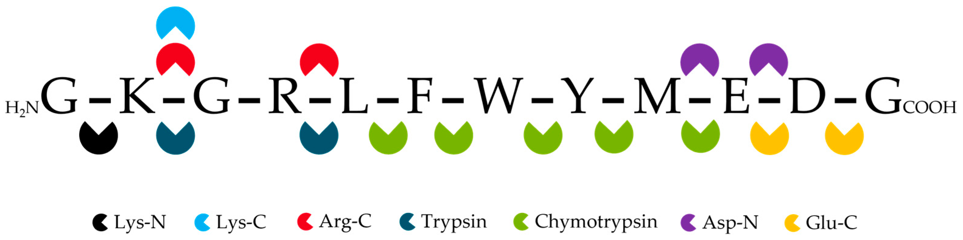 Preprints 142589 g003