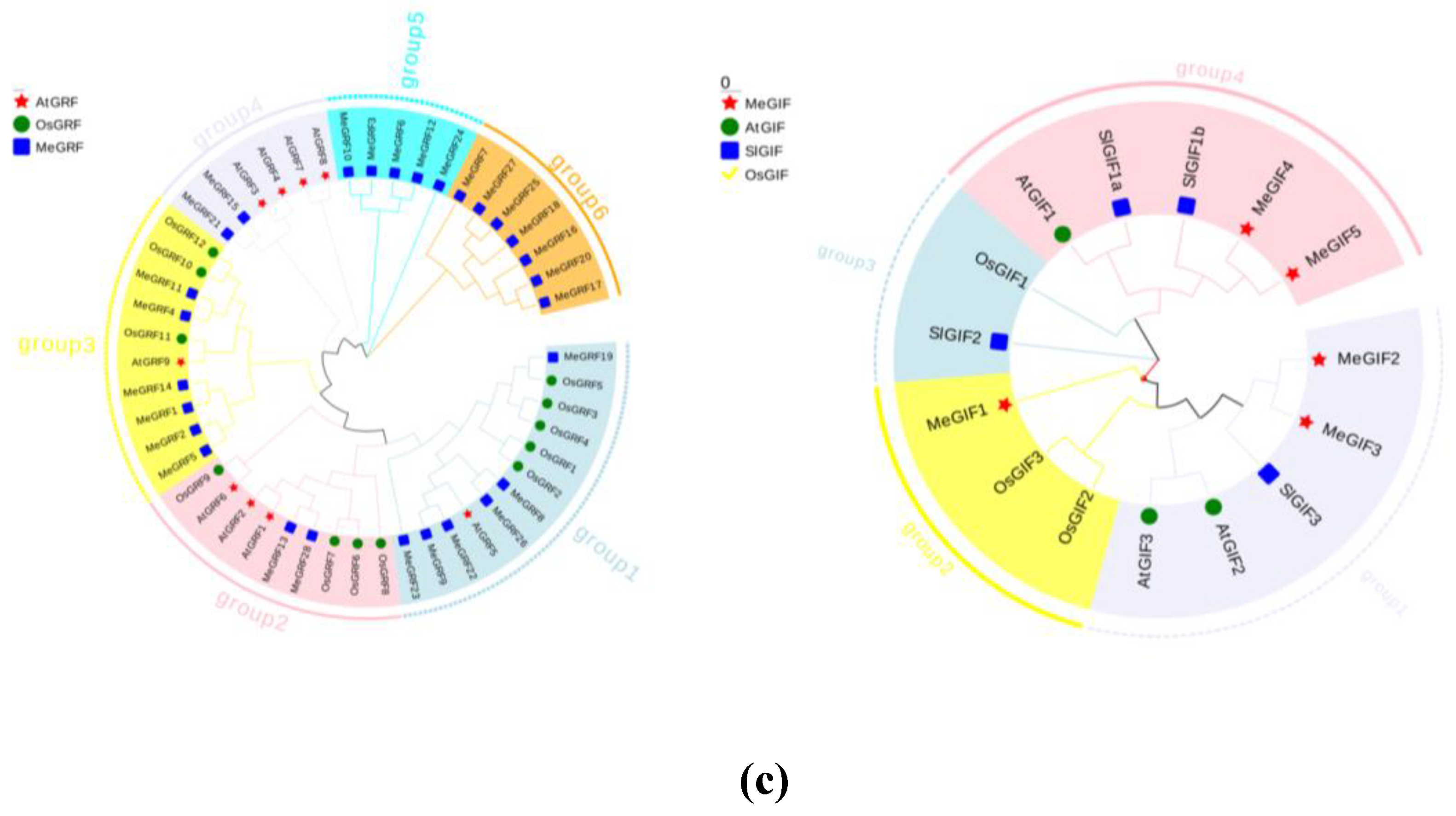 Preprints 167636 g002