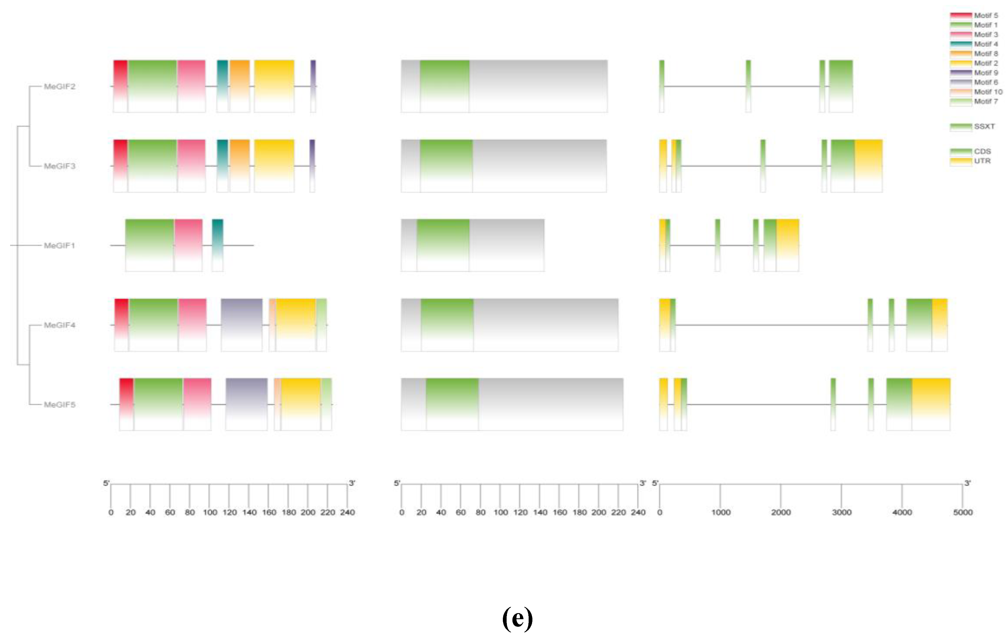 Preprints 167636 g003b