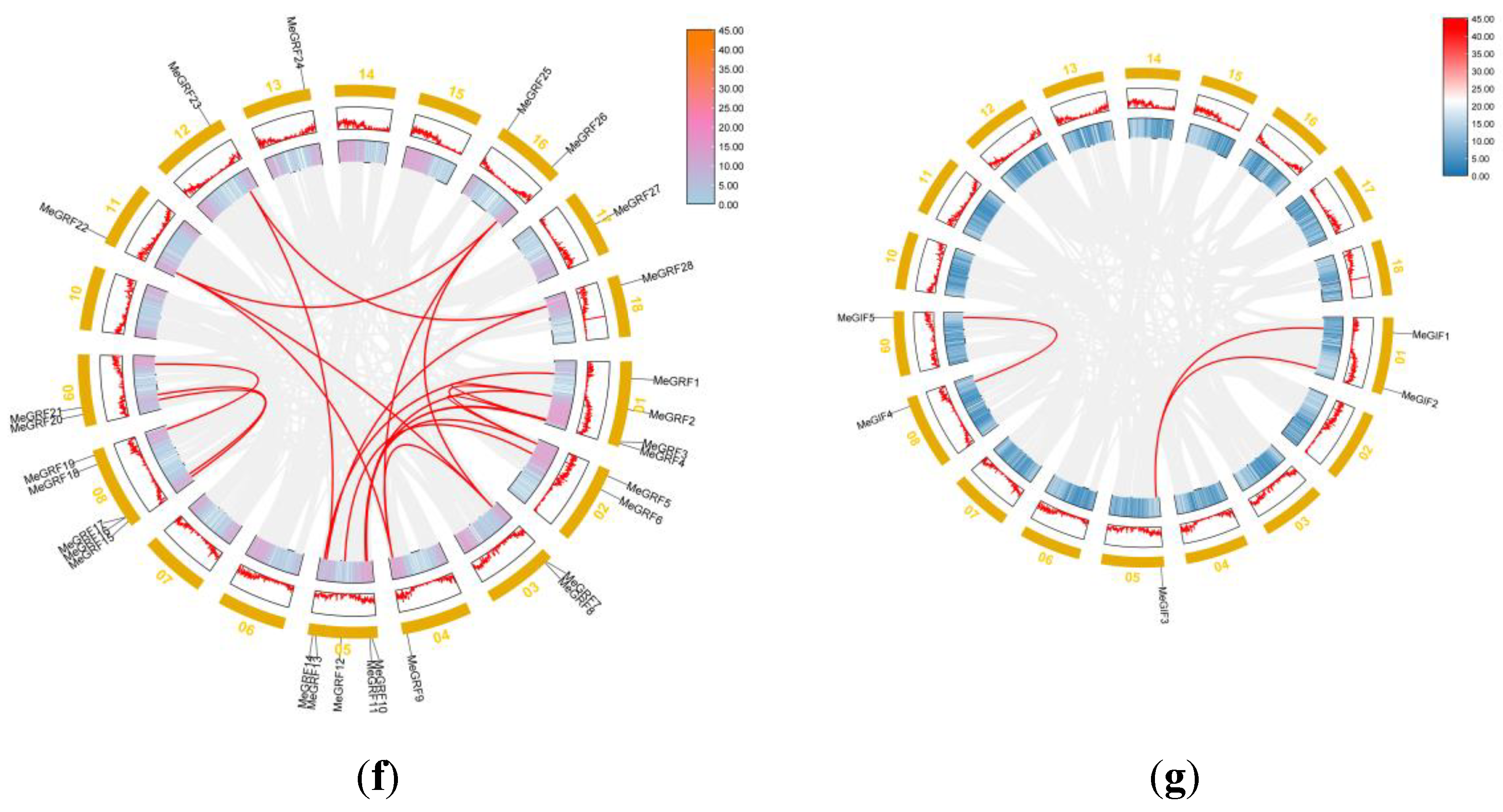 Preprints 167636 g005