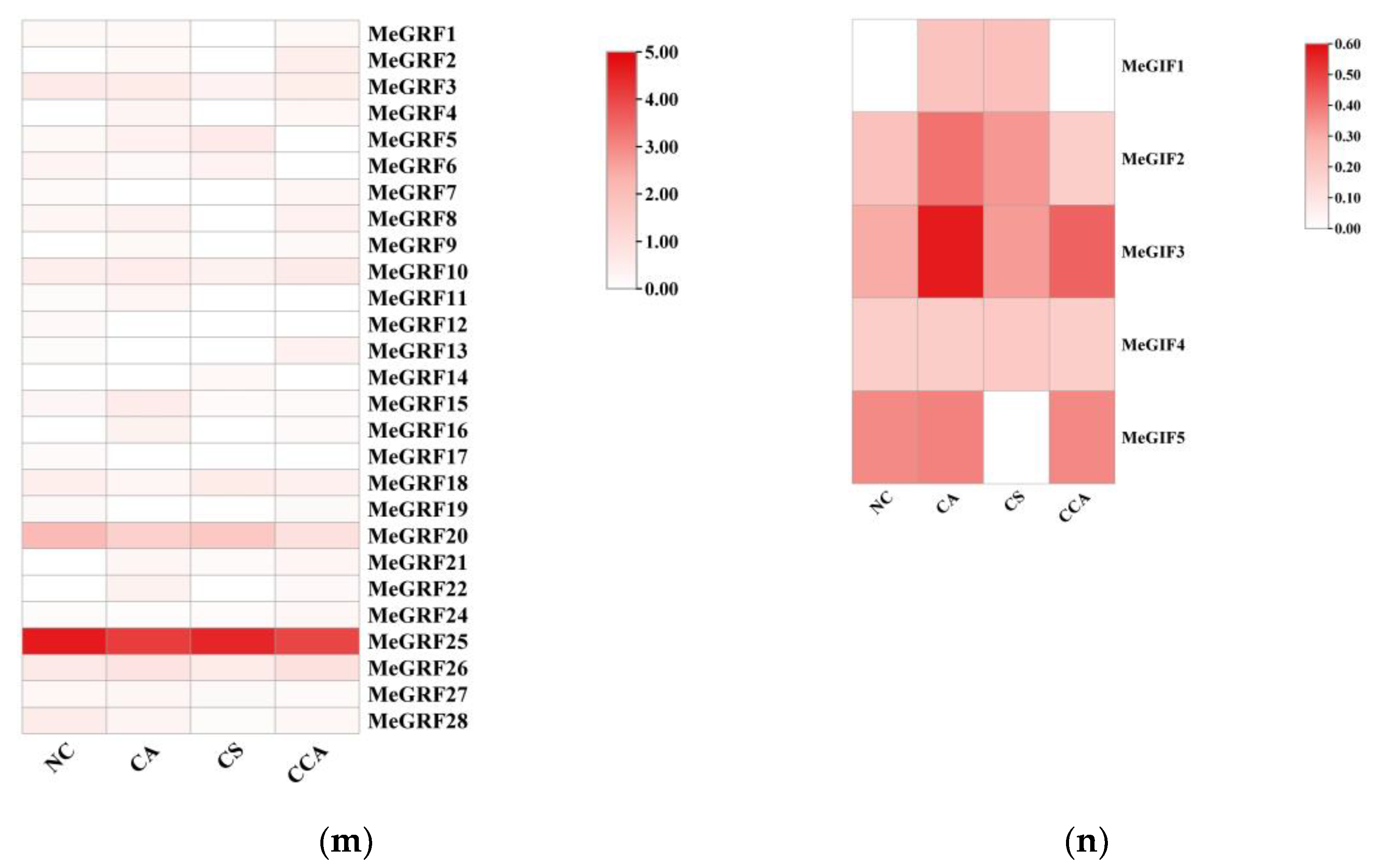 Preprints 167636 g008