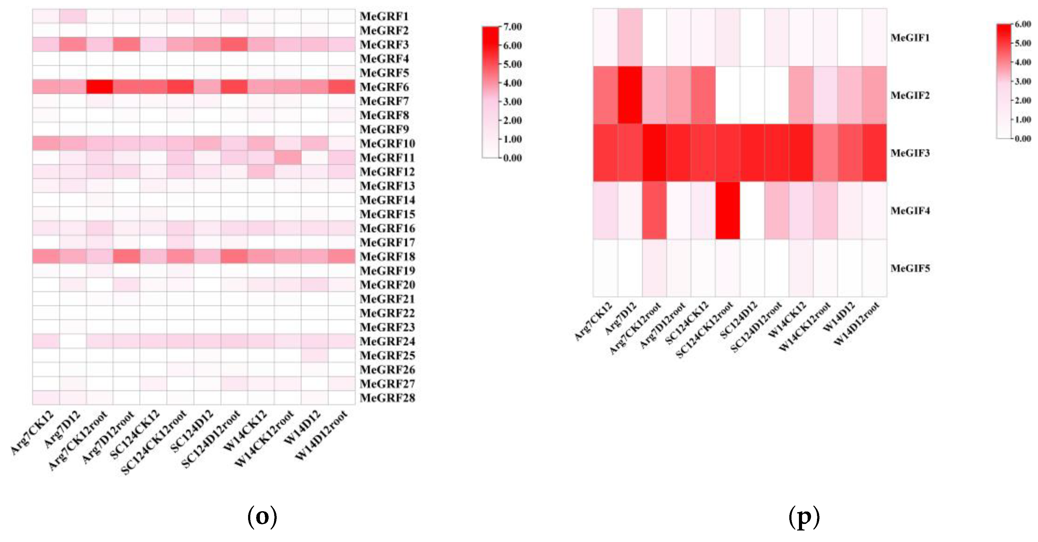 Preprints 167636 g009
