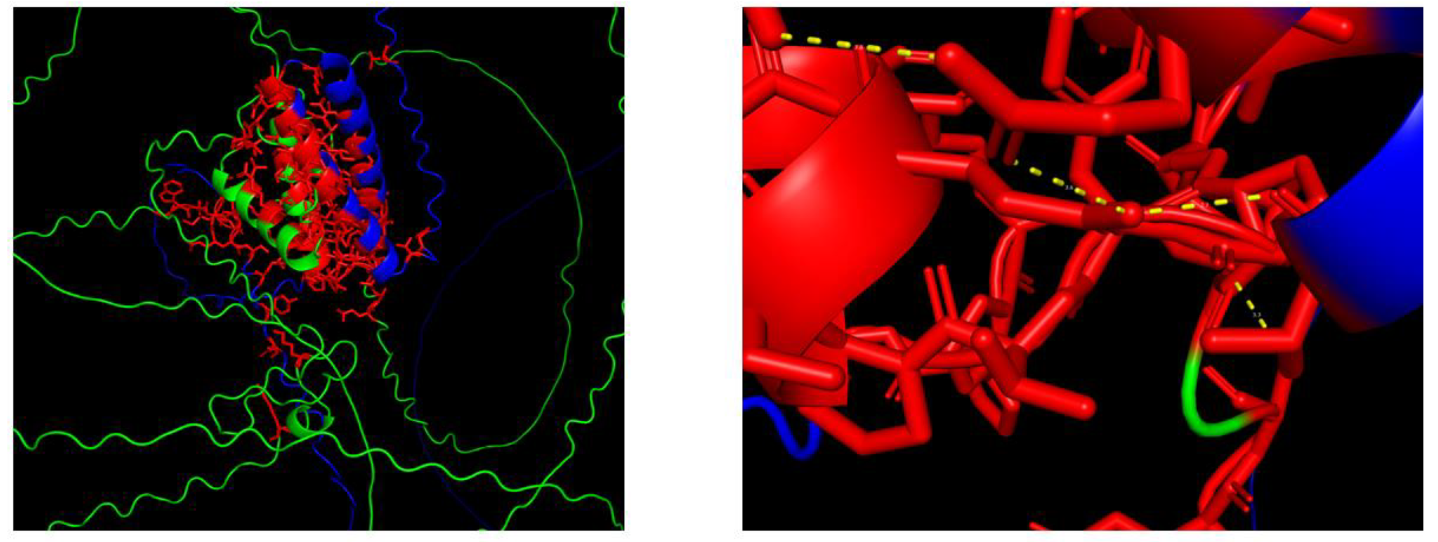 Preprints 167636 g014