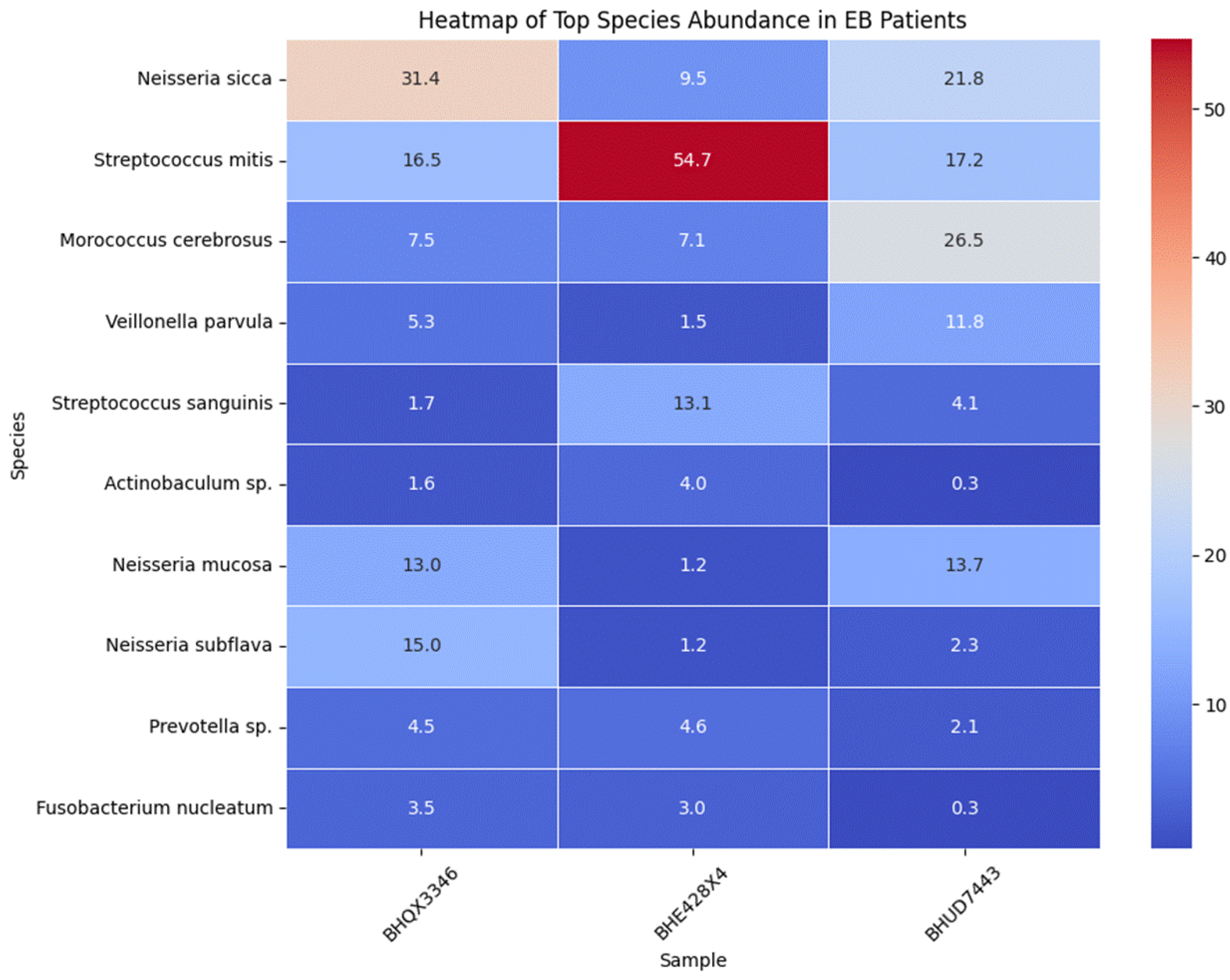 Preprints 162080 g002