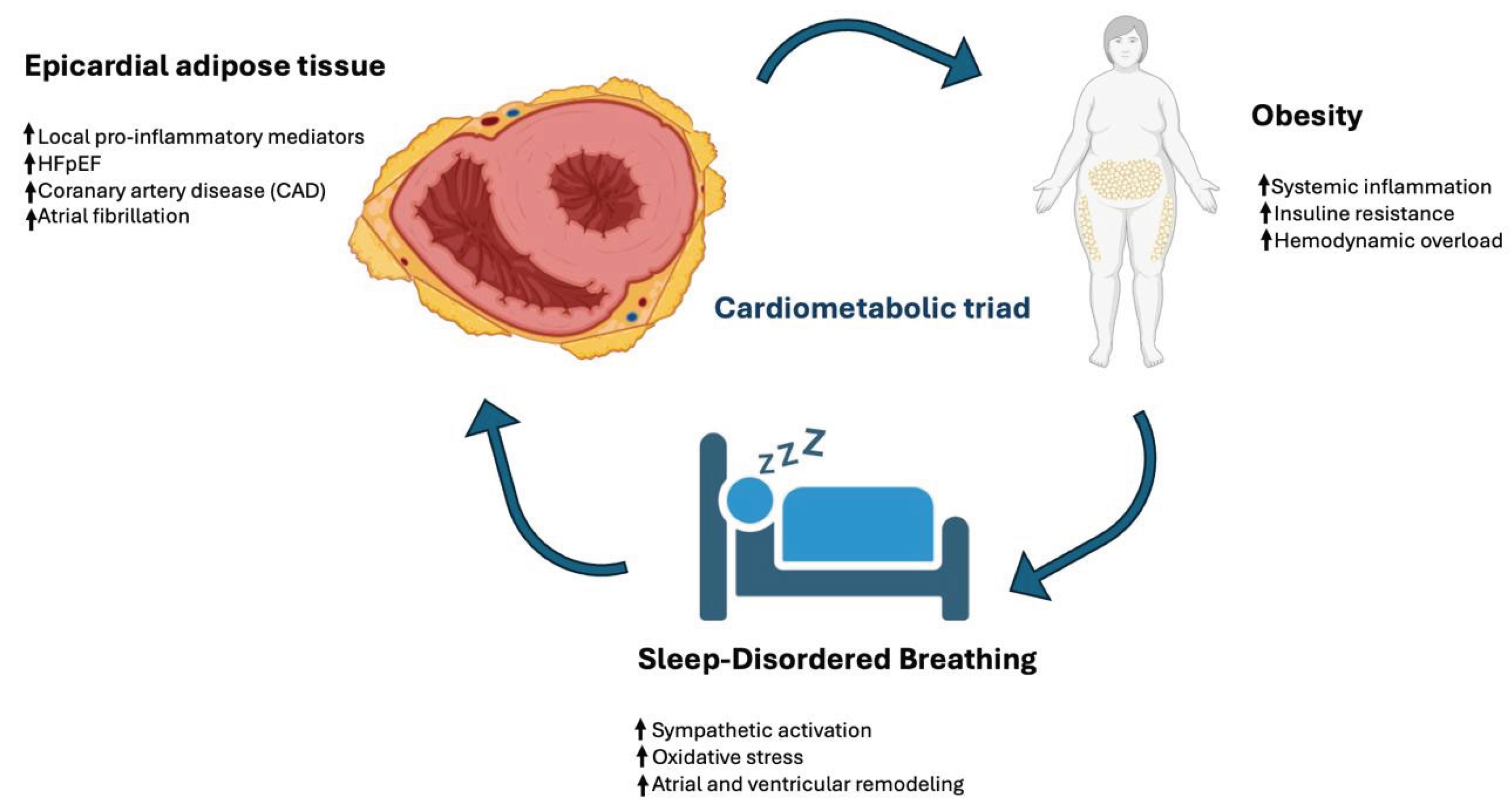 Preprints 189525 g001