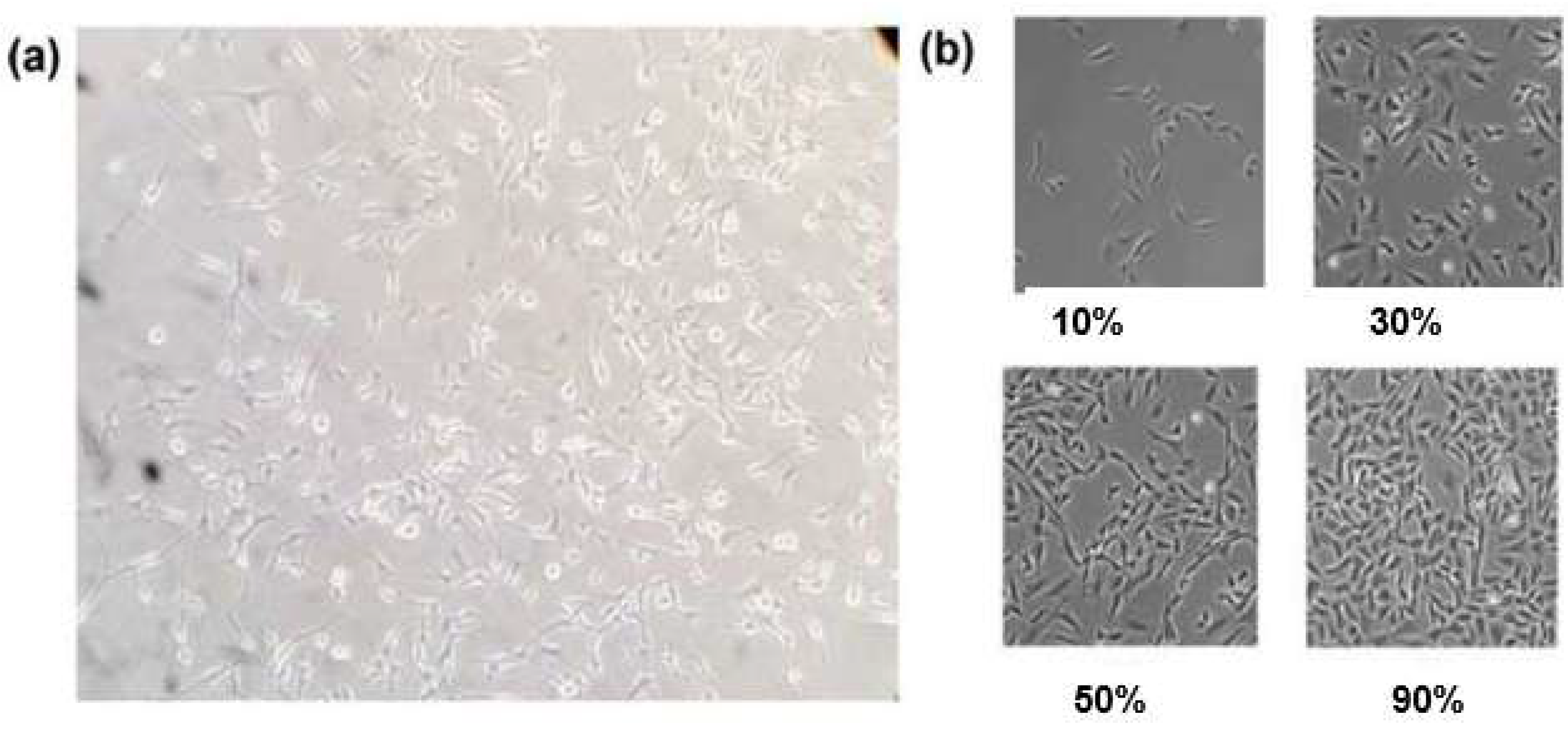 Preprints 185734 g001