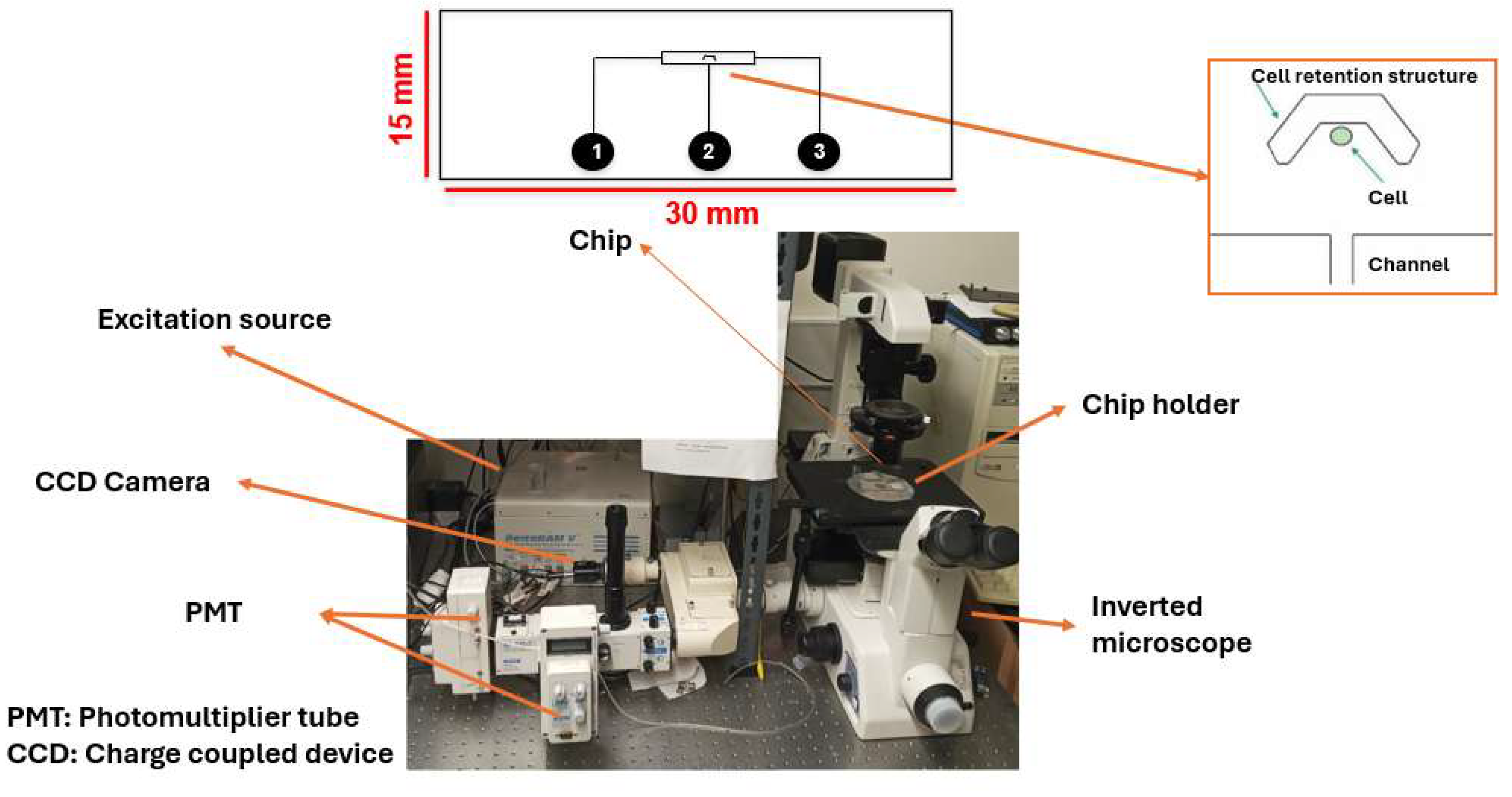Preprints 185734 g002