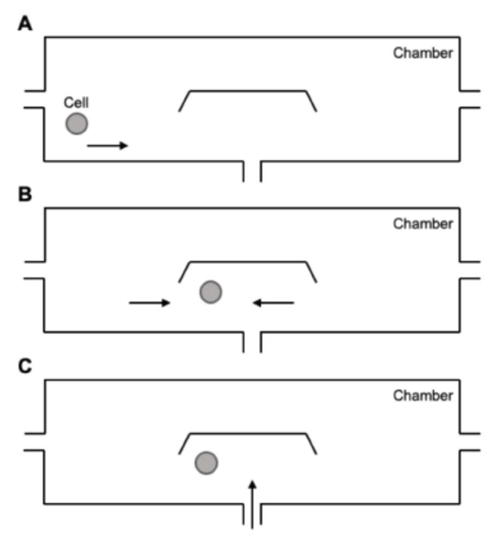 Preprints 185734 g003
