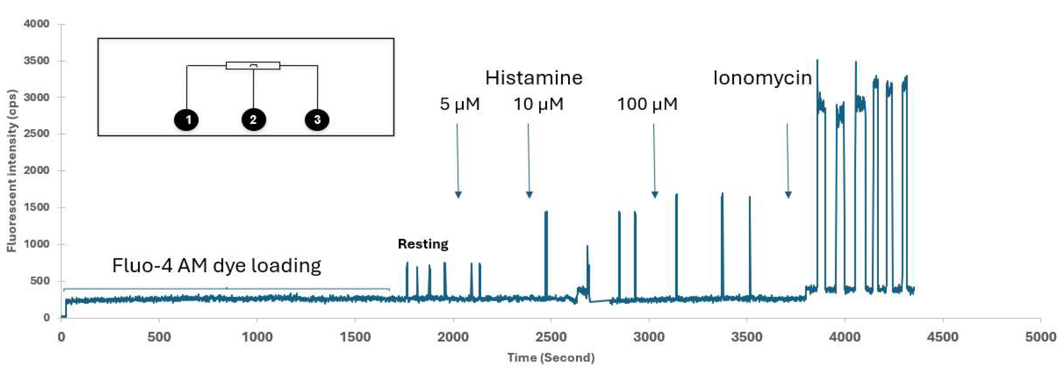Preprints 185734 g005
