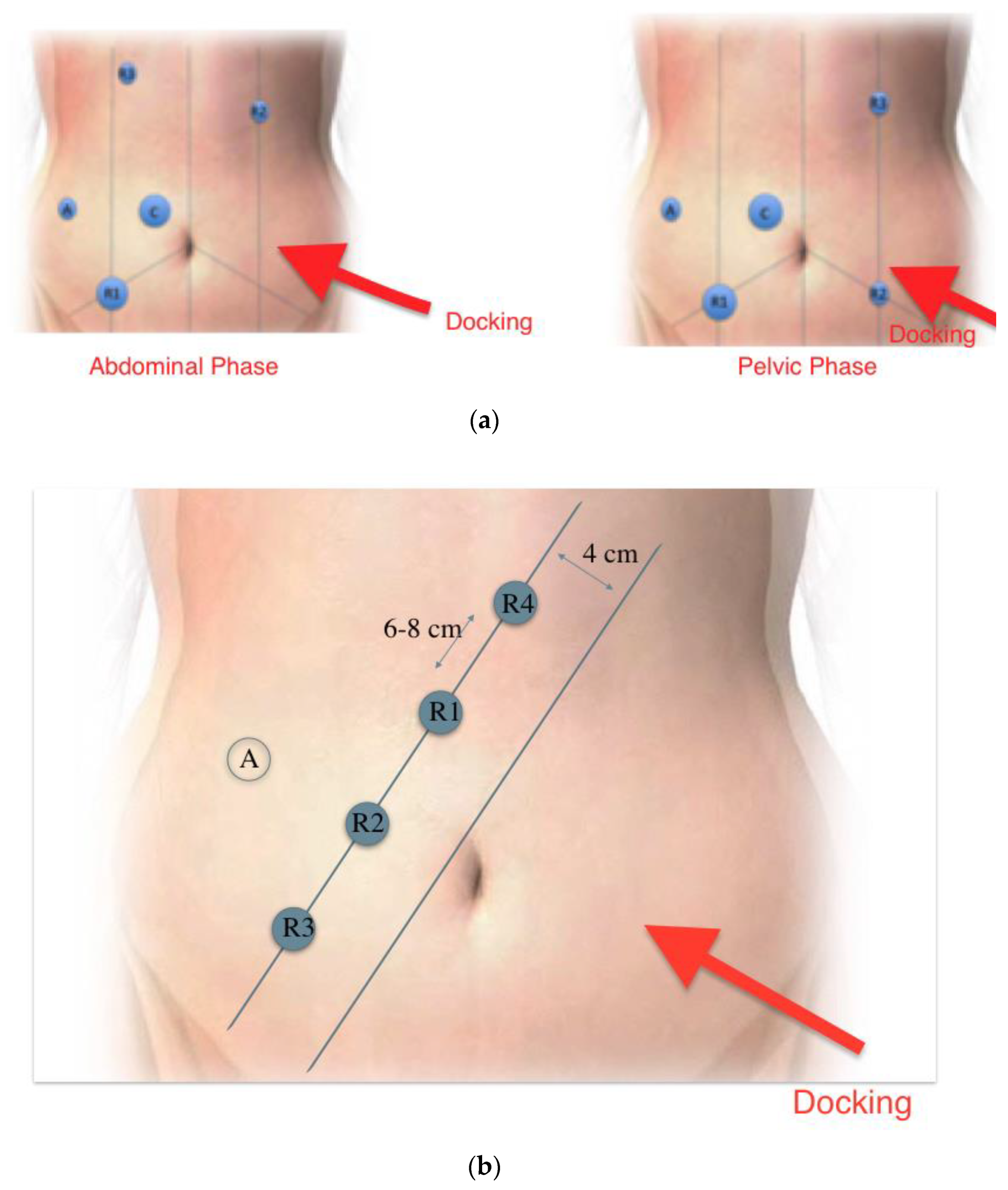 Preprints 101807 g001