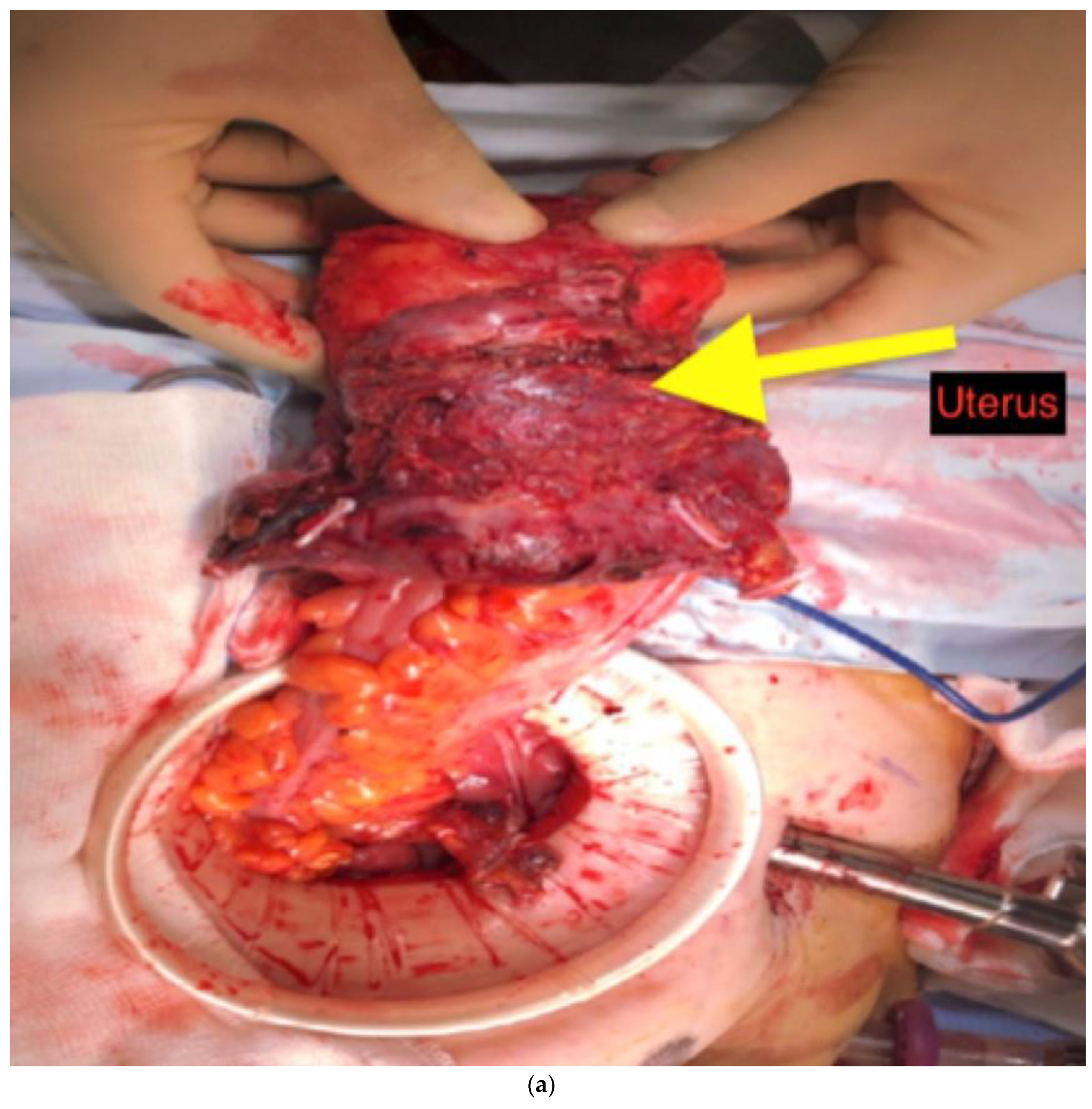 Preprints 101807 g002a