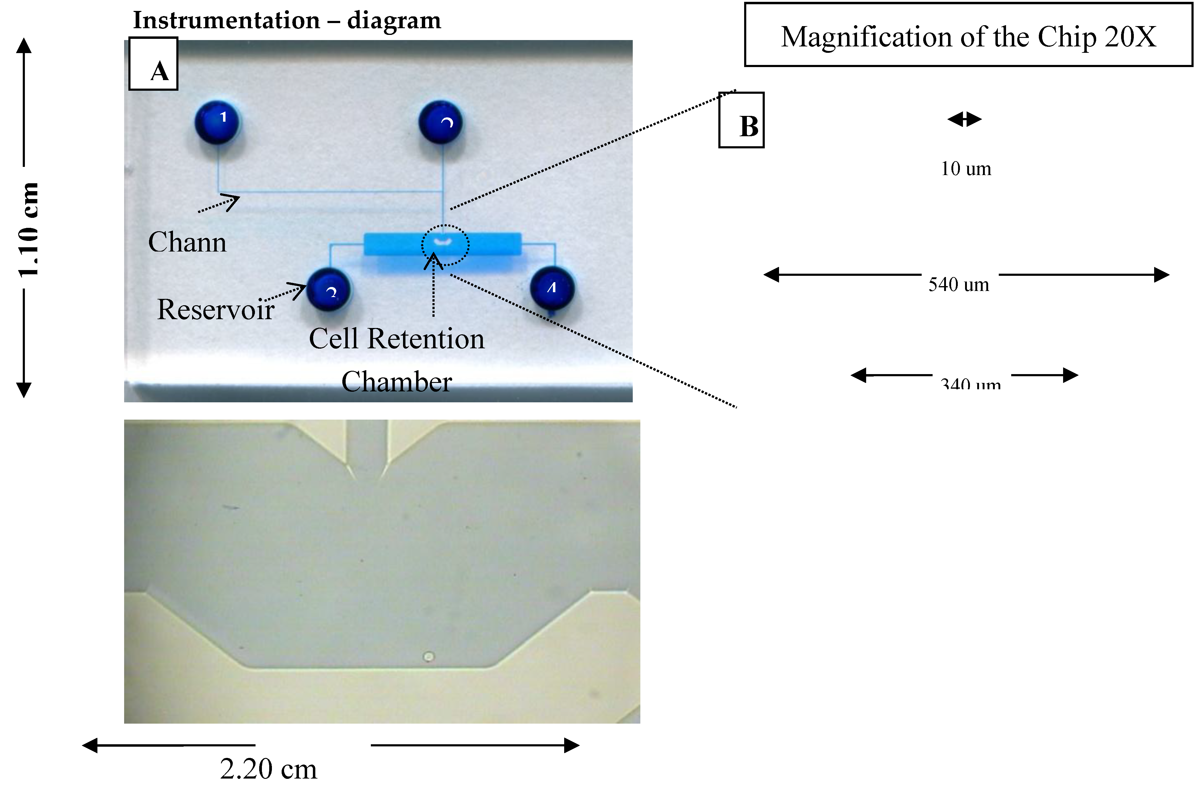 Preprints 191093 g001