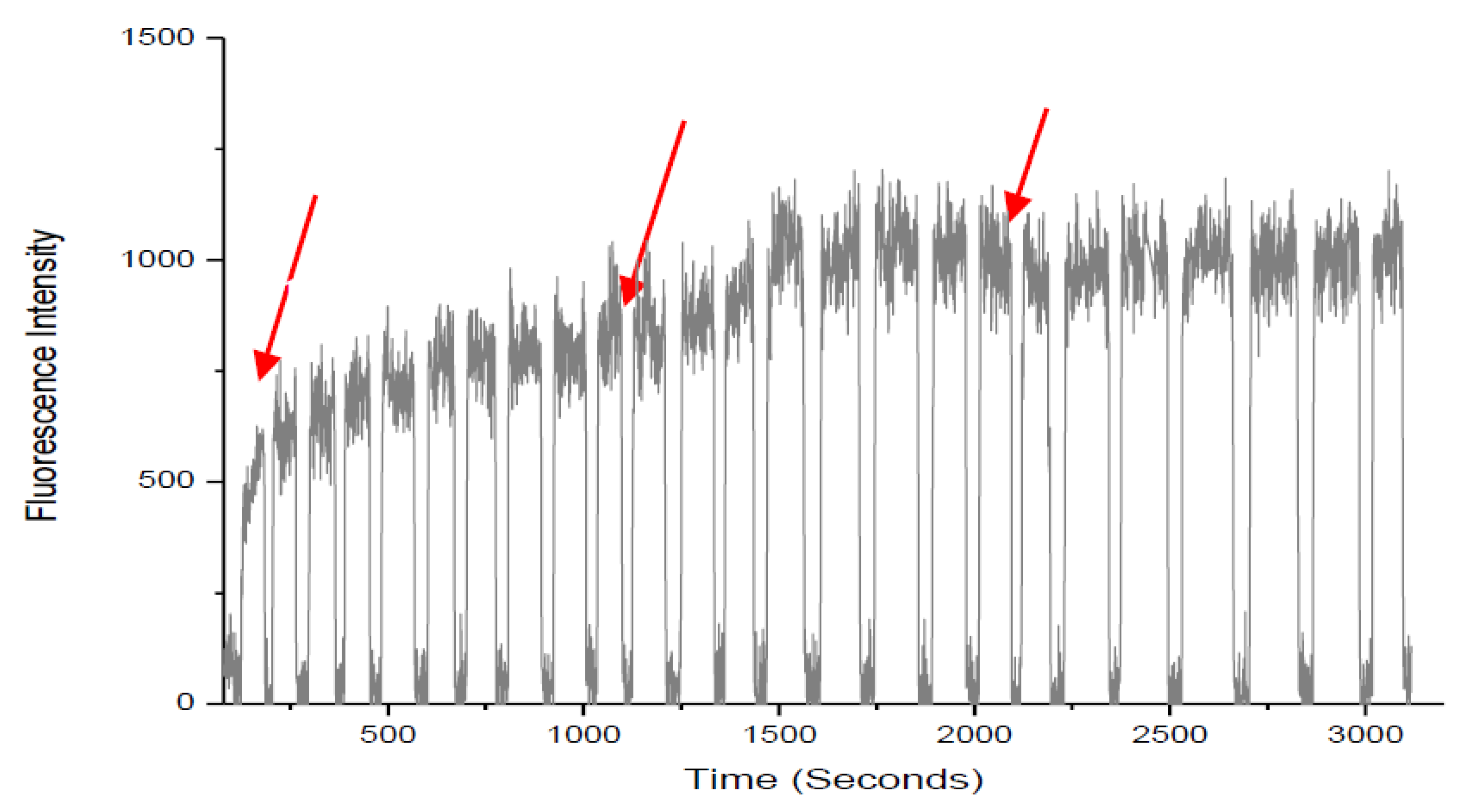 Preprints 191093 g003