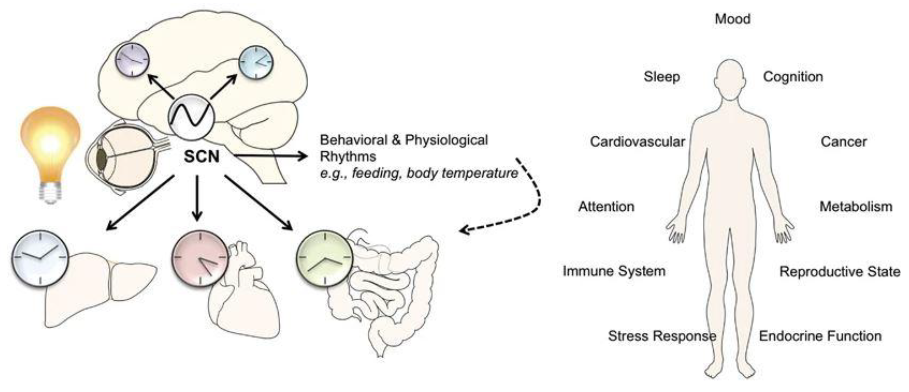Preprints 188090 g002