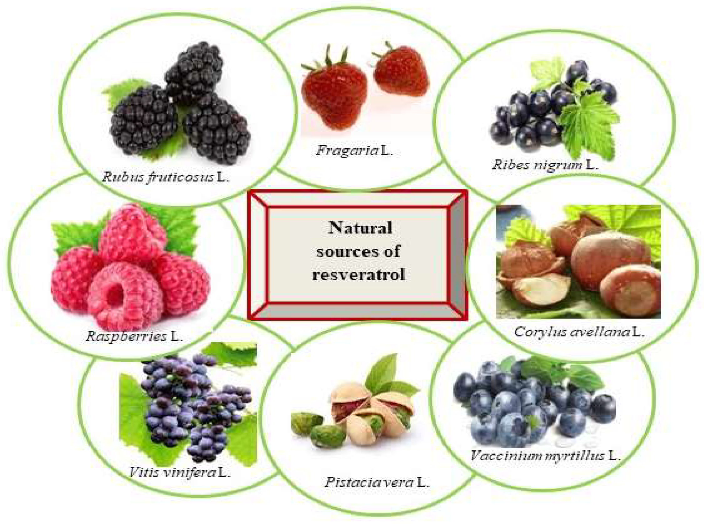 Preprints 142093 g001