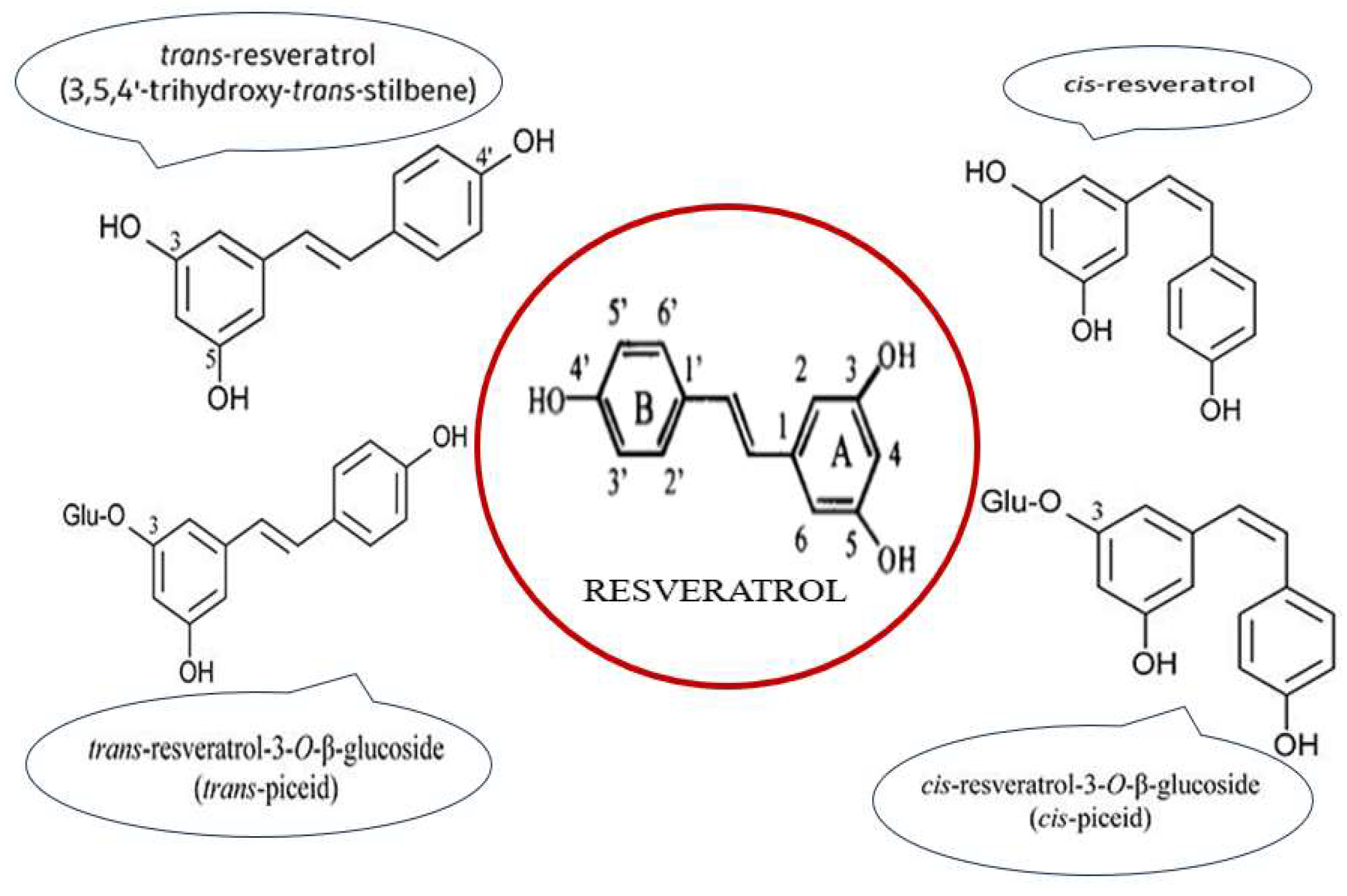 Preprints 142093 g002