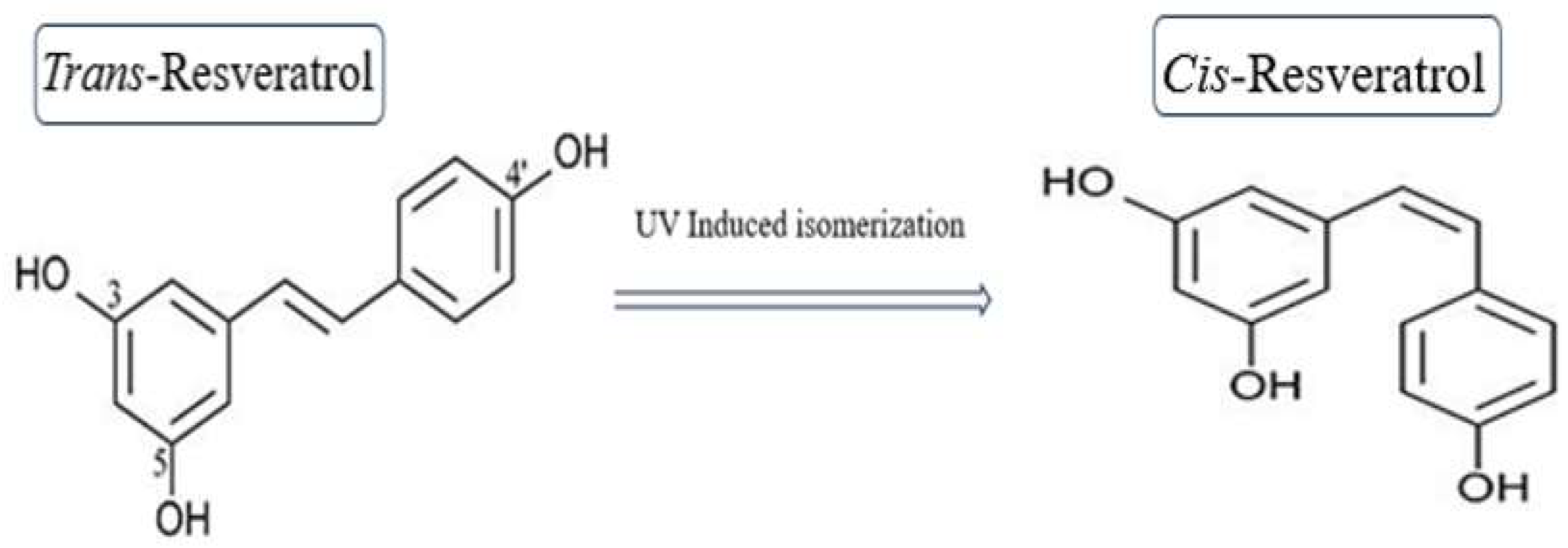 Preprints 142093 g003