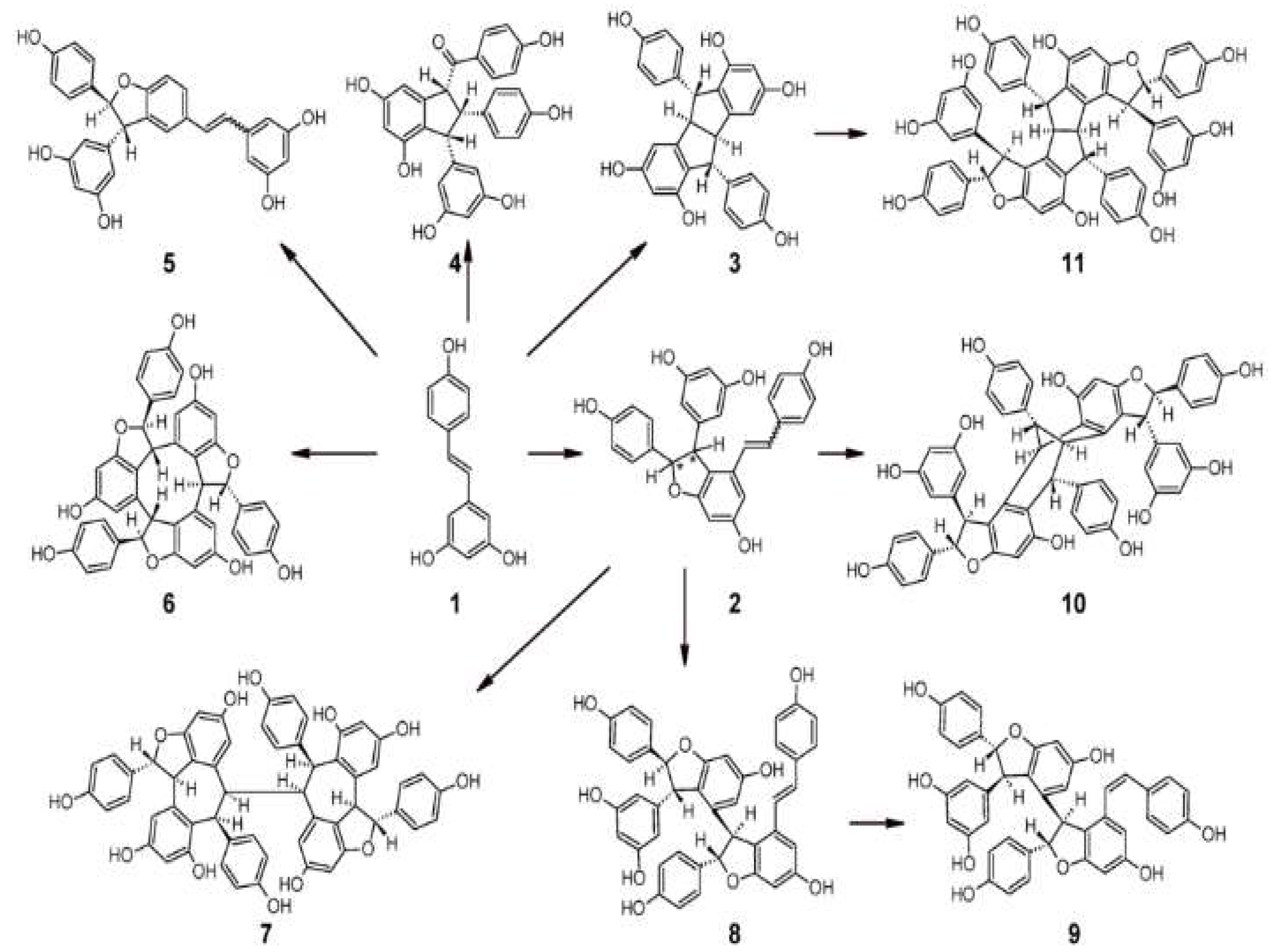 Preprints 142093 g004