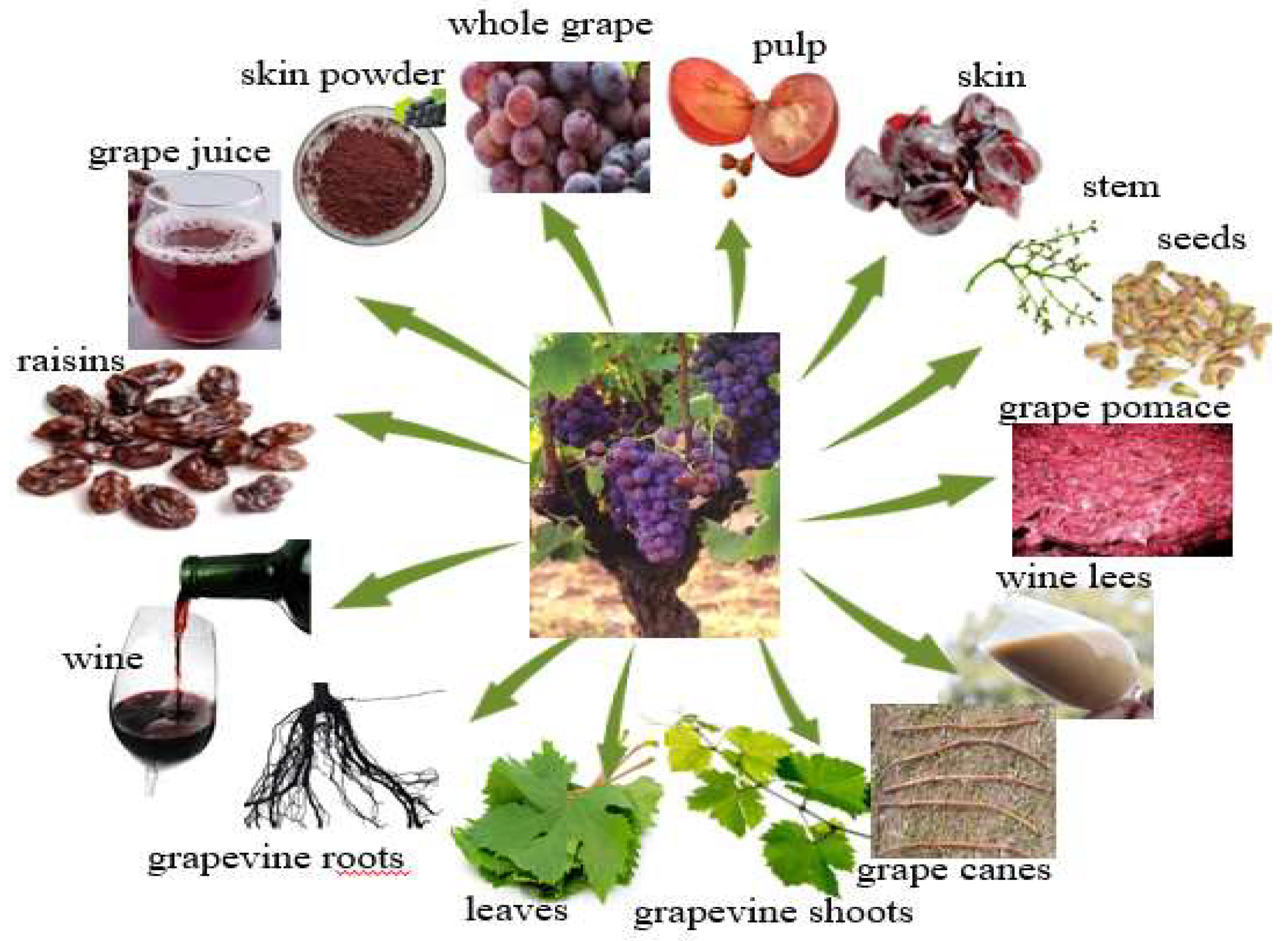 Preprints 142093 g005