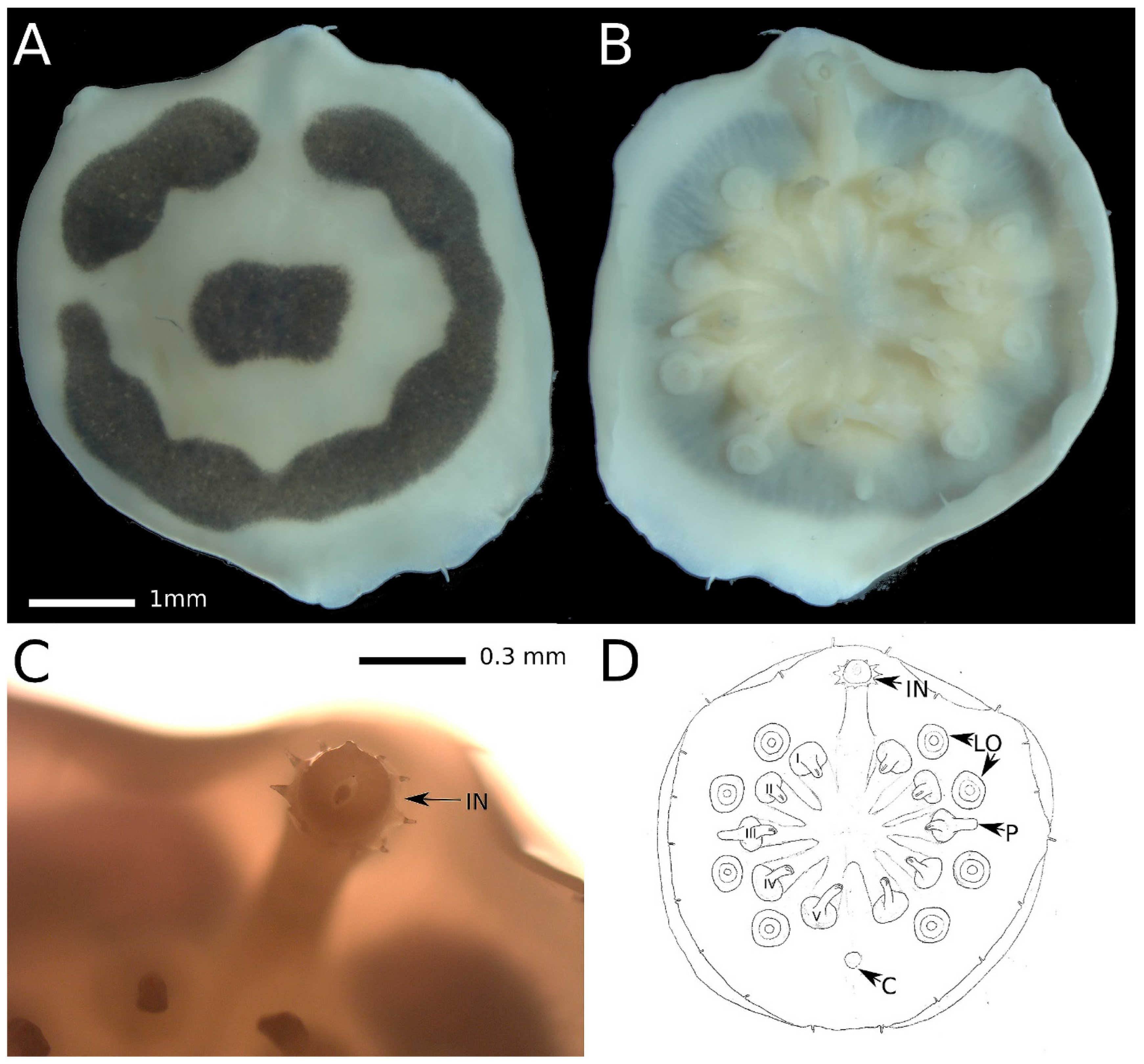 Preprints 94501 g002