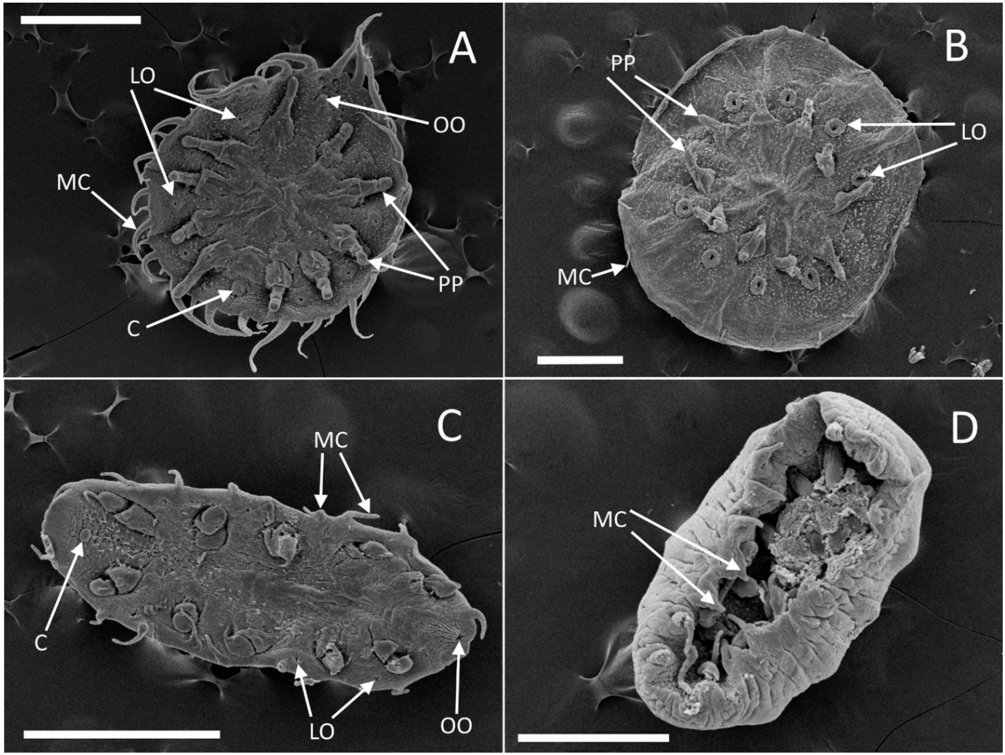 Preprints 94501 g003