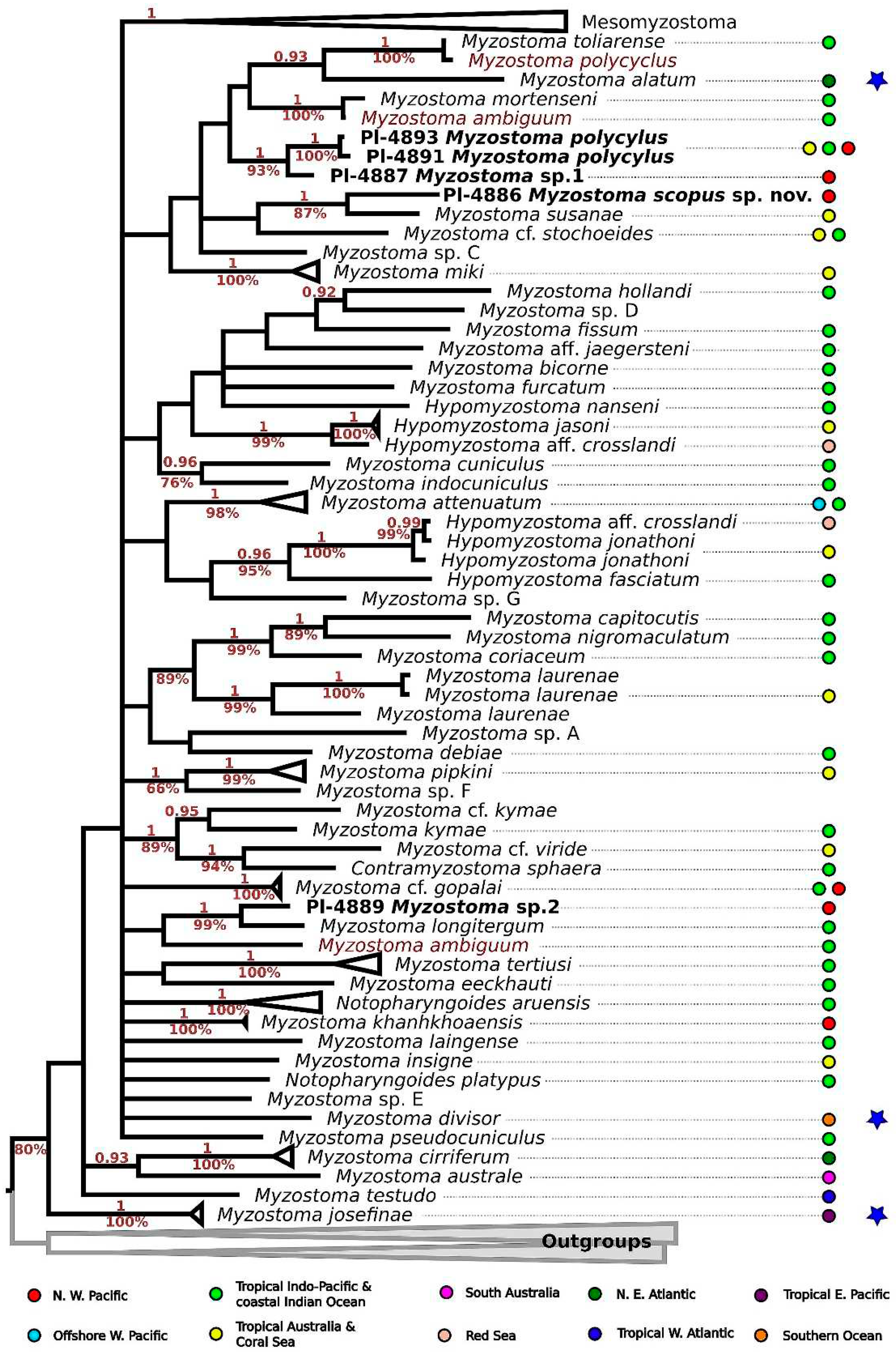 Preprints 94501 g004