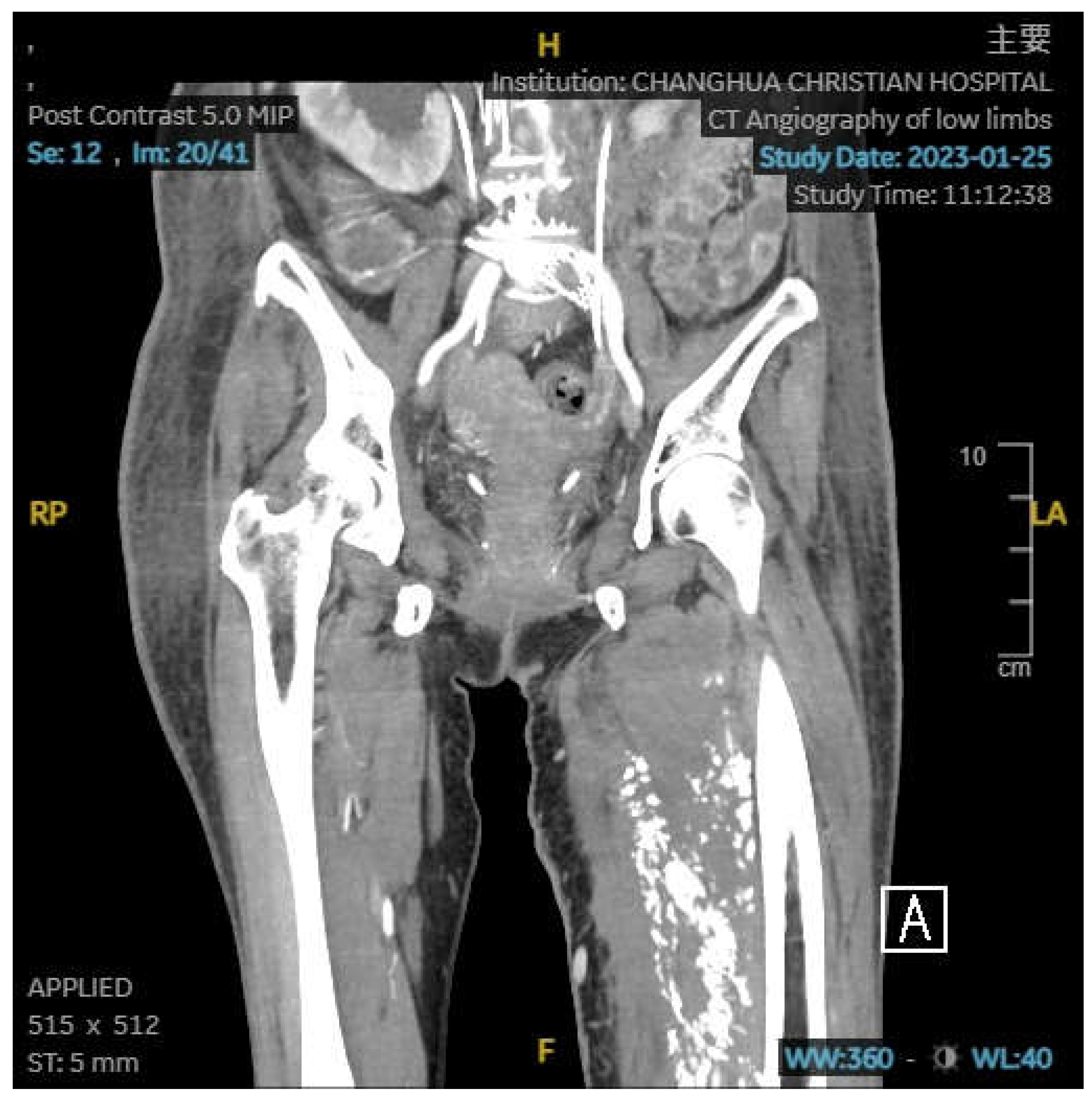 Preprints 104574 g002a