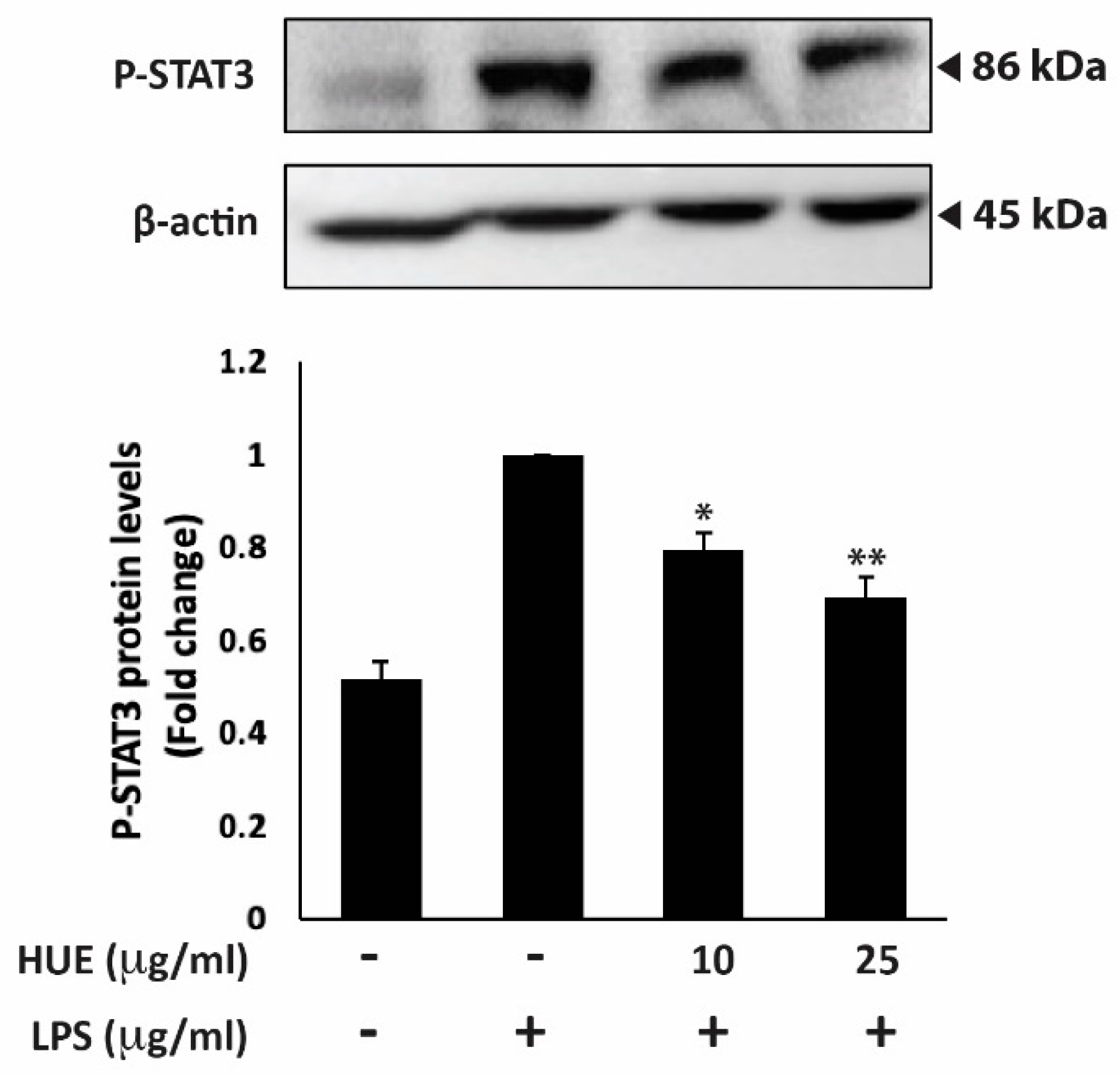 Preprints 169190 g005