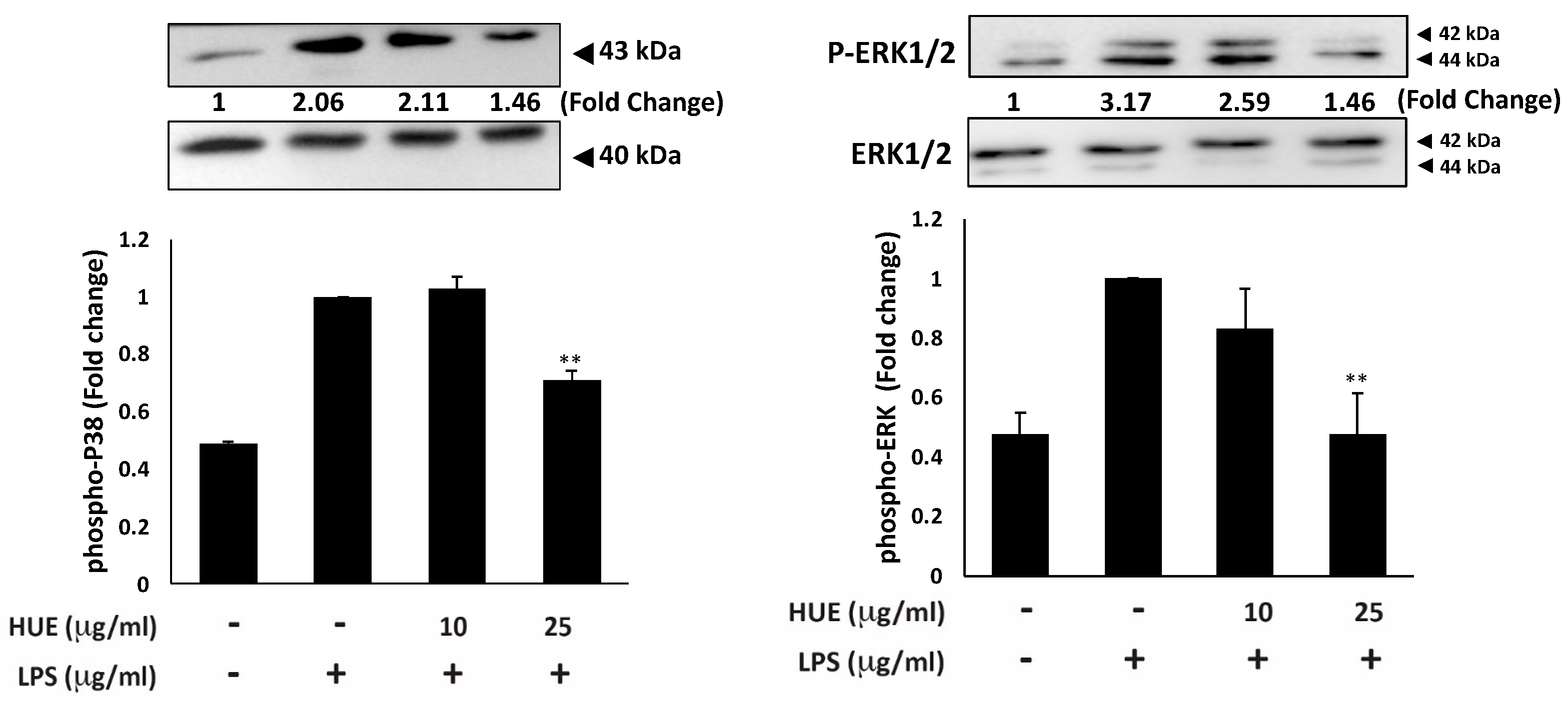 Preprints 169190 g006