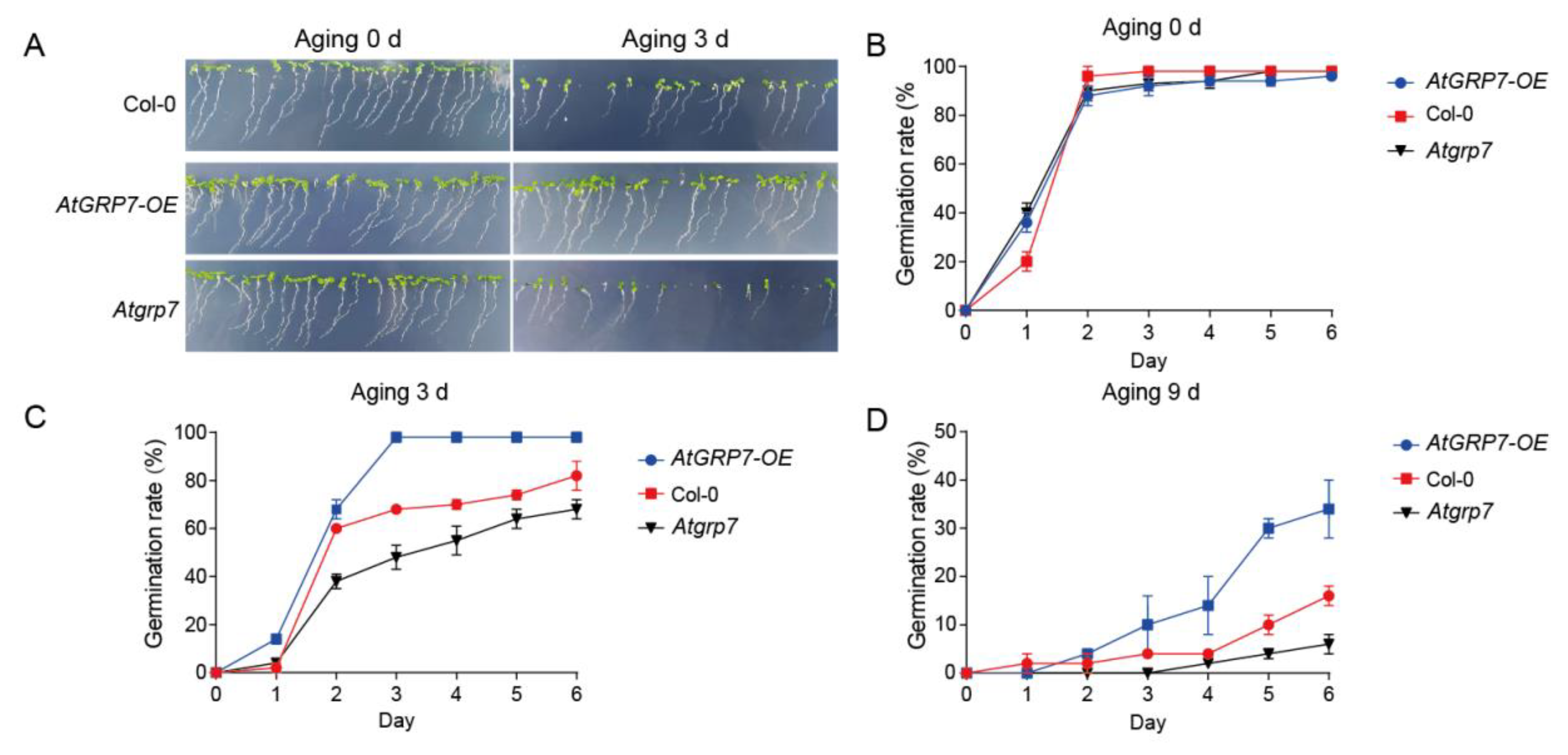 Preprints 184617 g001