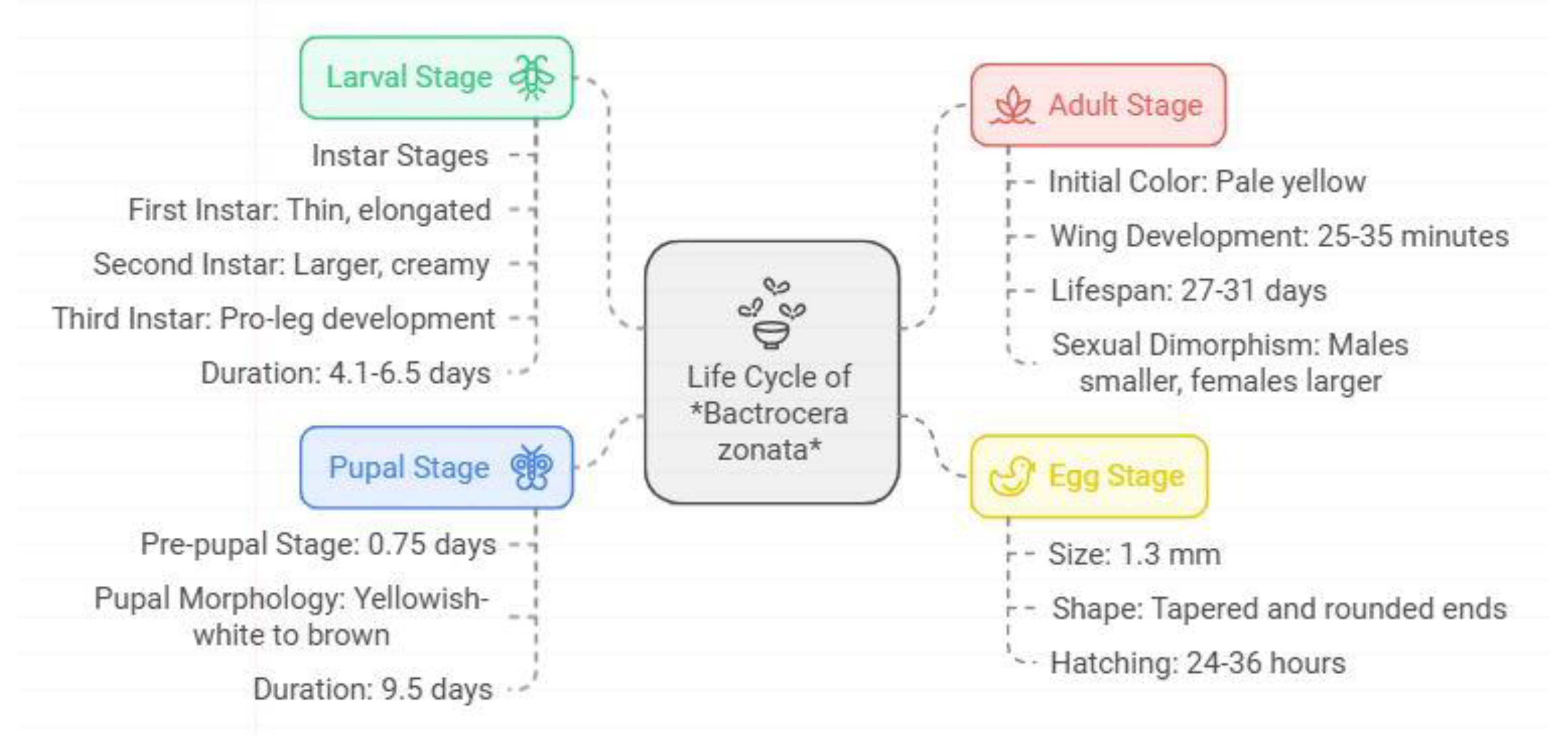 Preprints 146530 g002