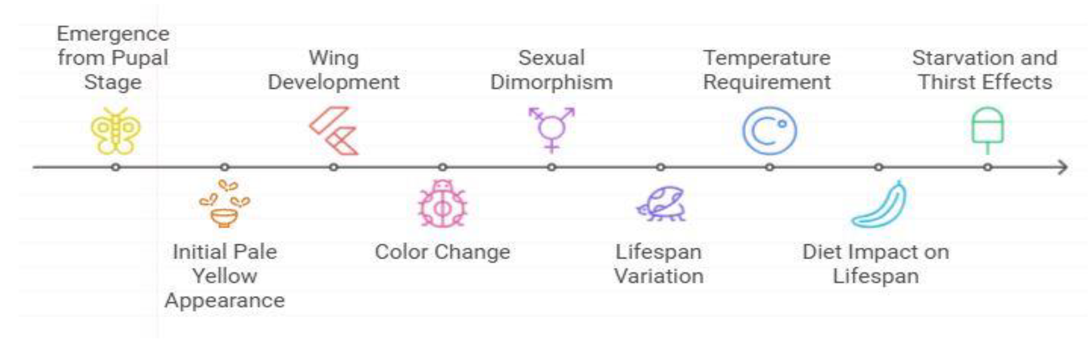 Preprints 146530 g003