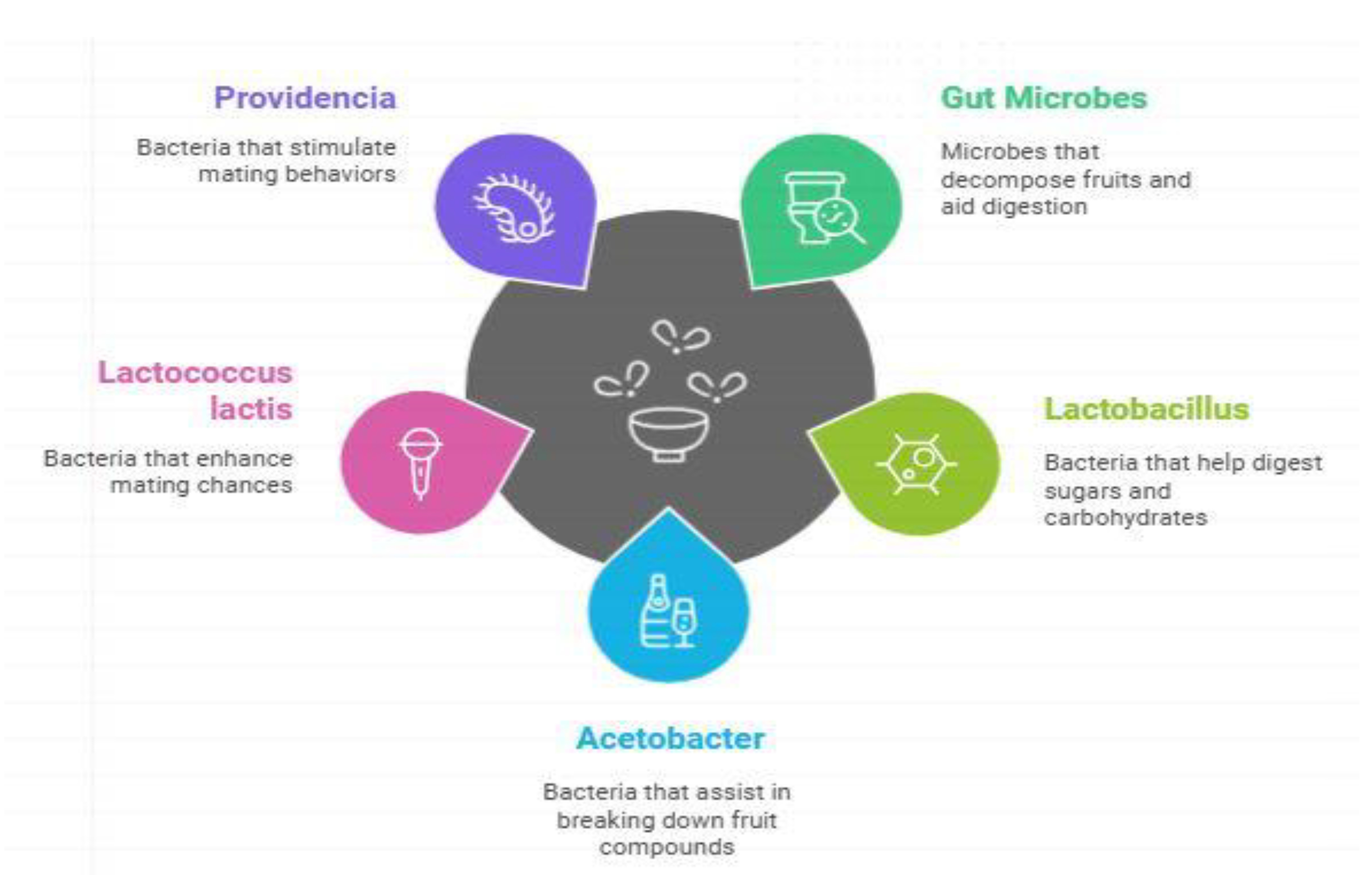 Preprints 146530 g004