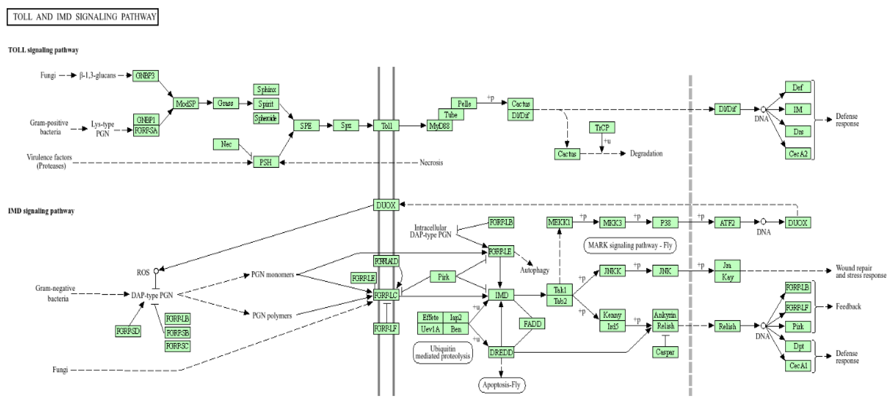 Preprints 146530 g005