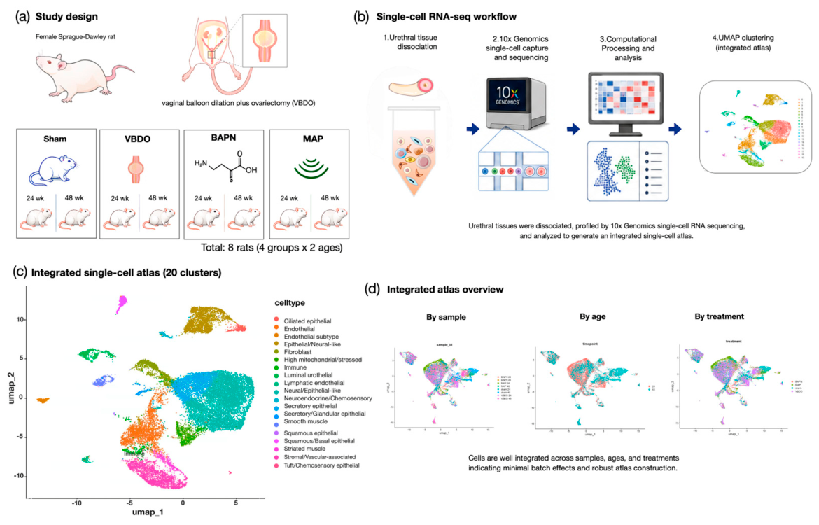 Preprints 230663 g001