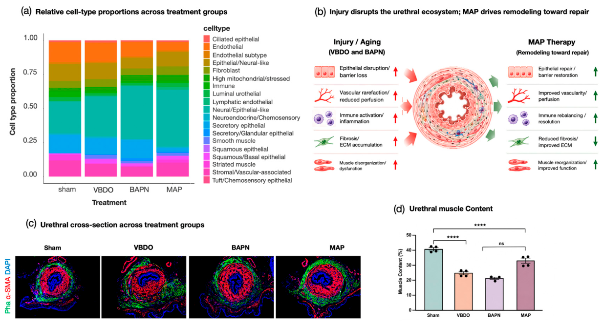 Preprints 230663 g002