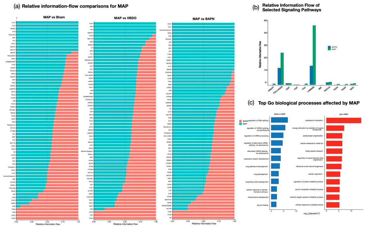 Preprints 230663 g003