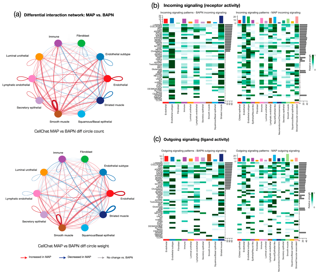 Preprints 230663 g004