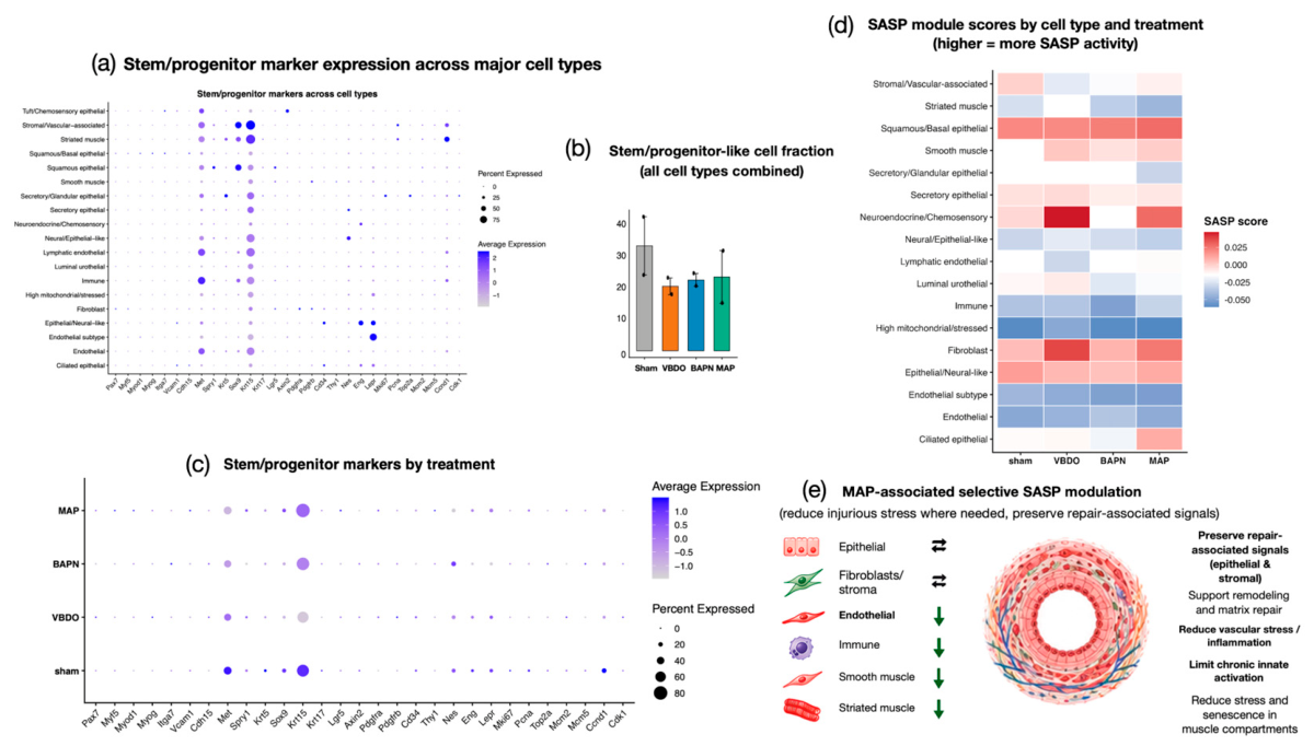 Preprints 230663 g005