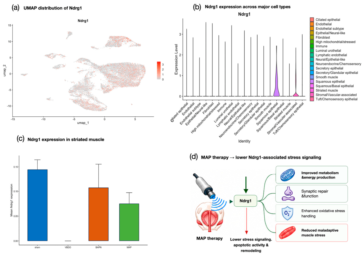 Preprints 230663 g006
