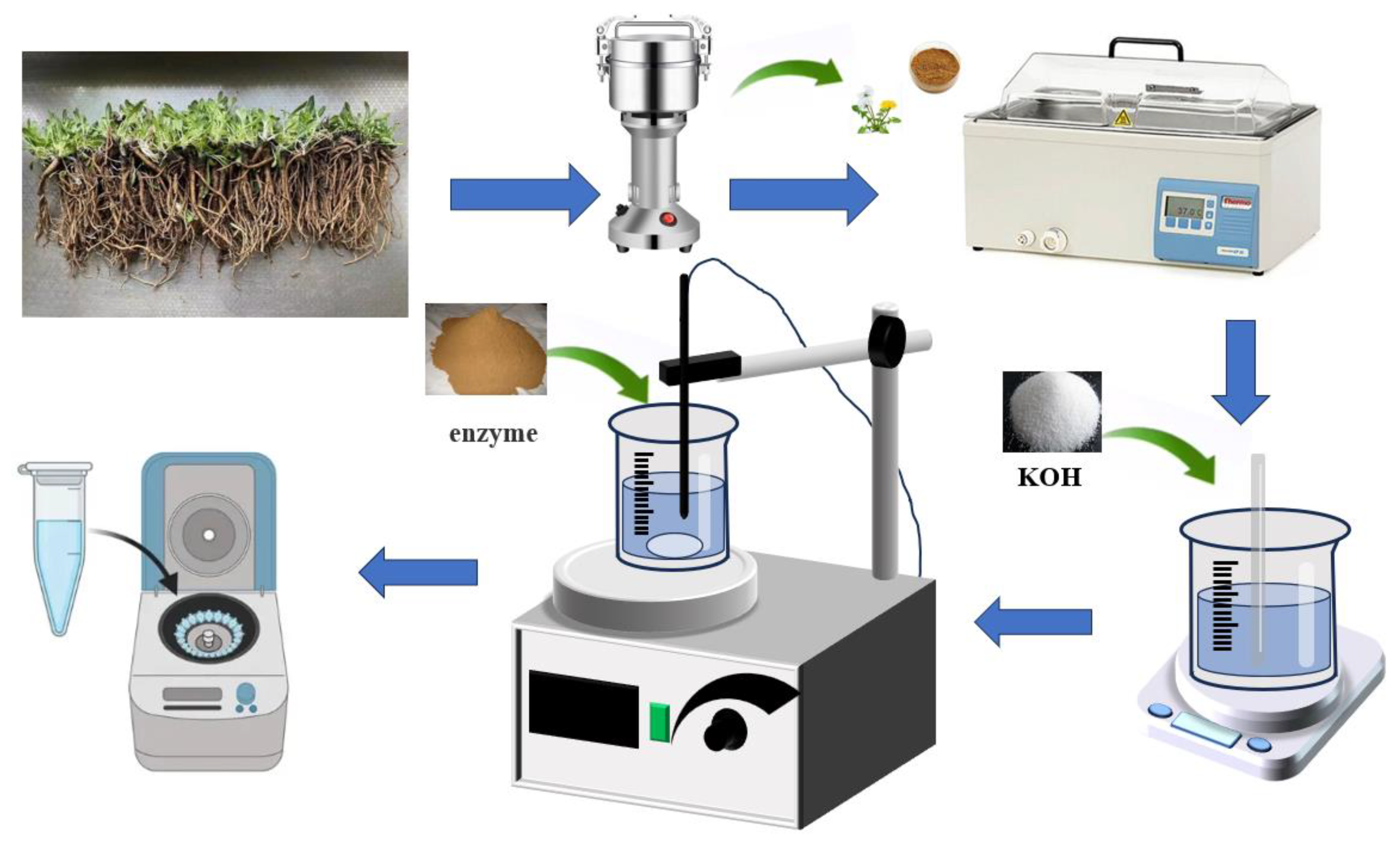 Preprints 145108 g008