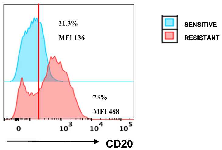 Preprints 225247 g001 Preprints 225247 g001