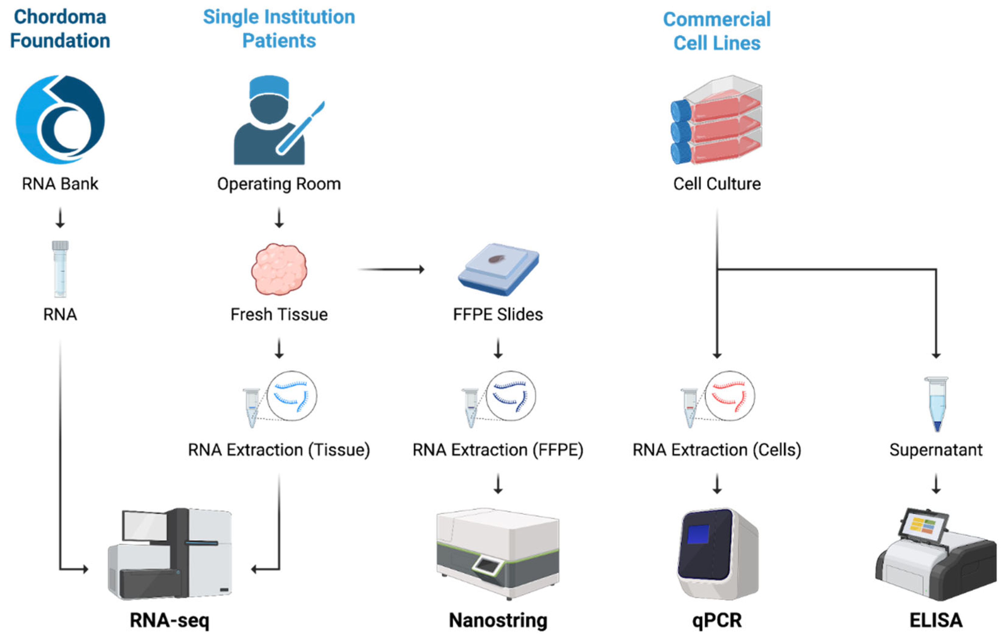 Preprints 196532 g002