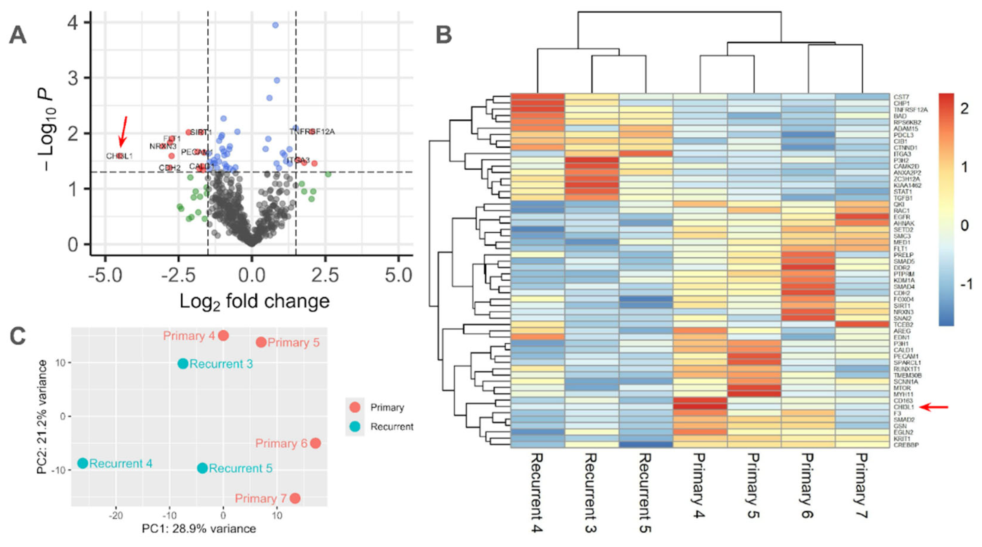 Preprints 196532 g003