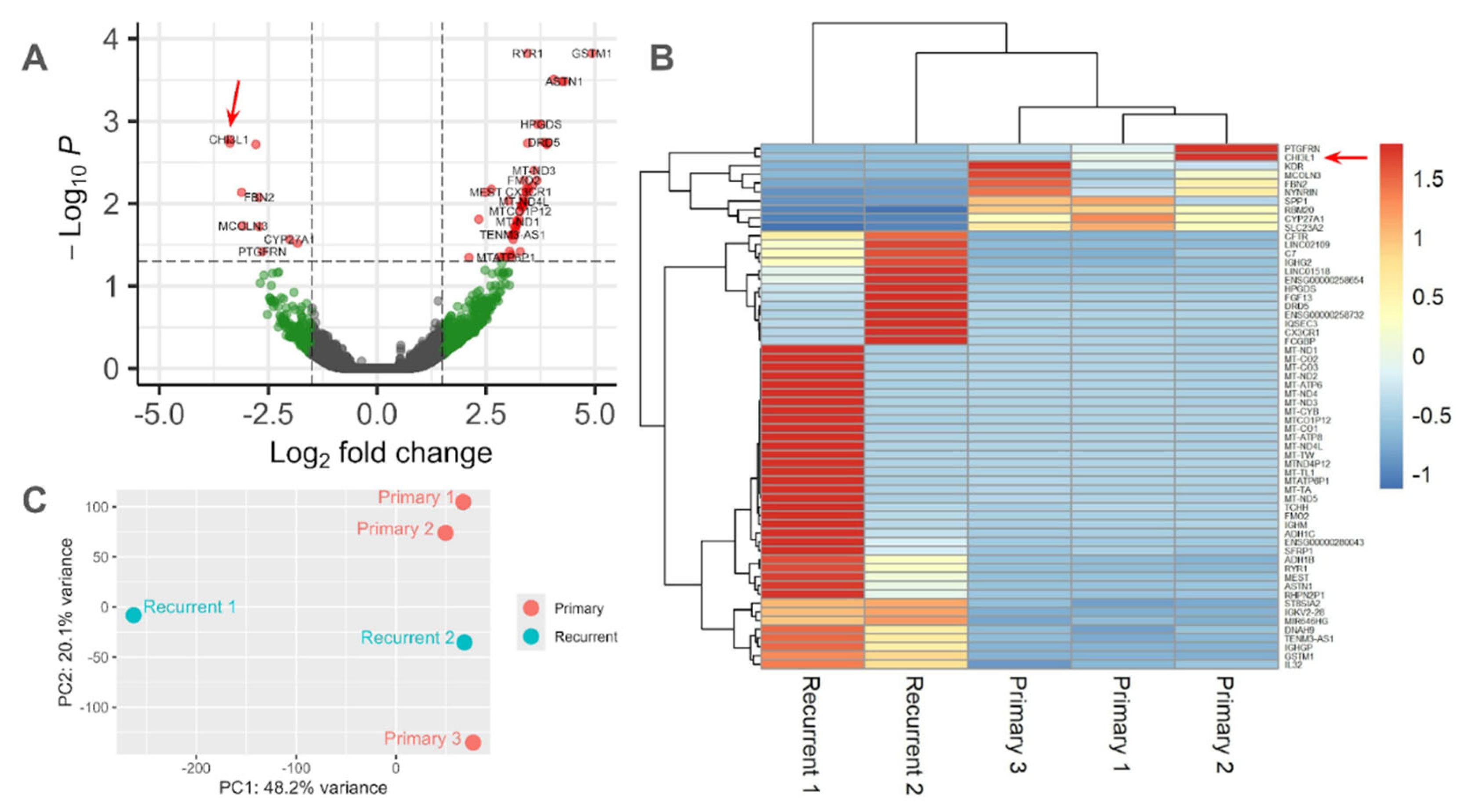 Preprints 196532 g004