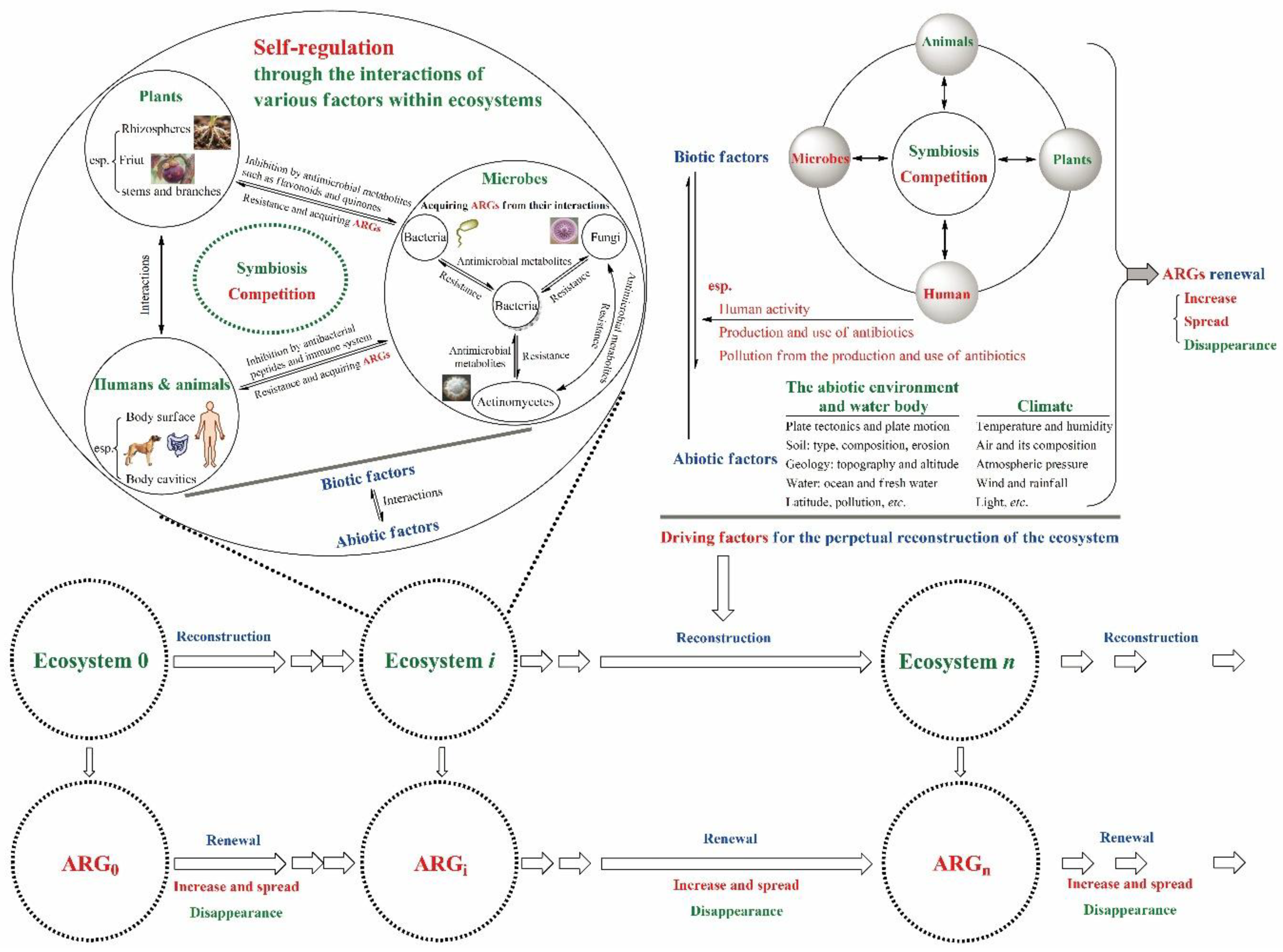Preprints 166723 g002