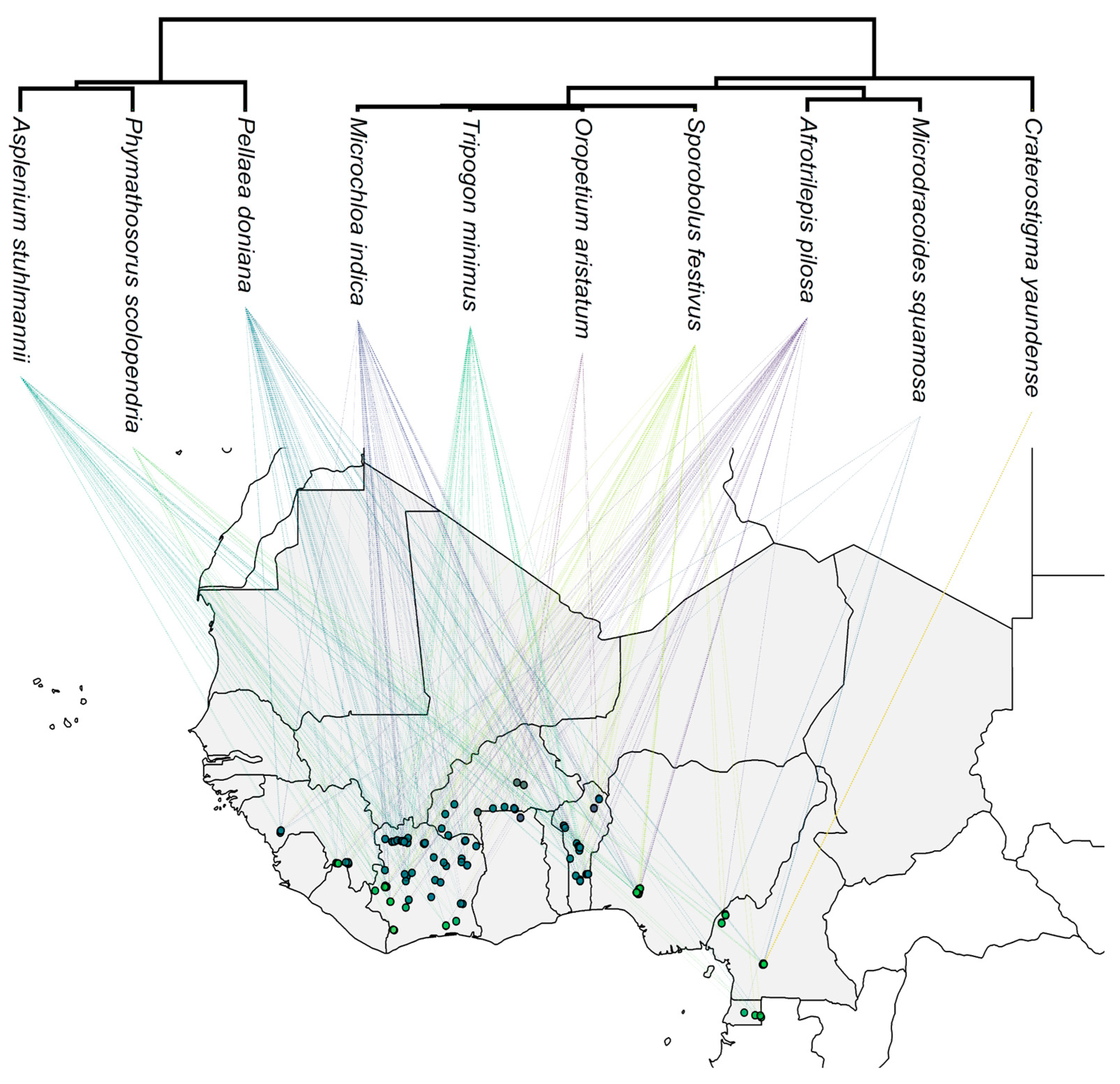 Preprints 162720 g003