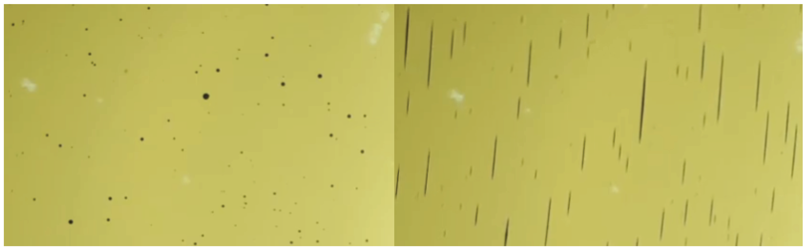 Preprints 99146 g001