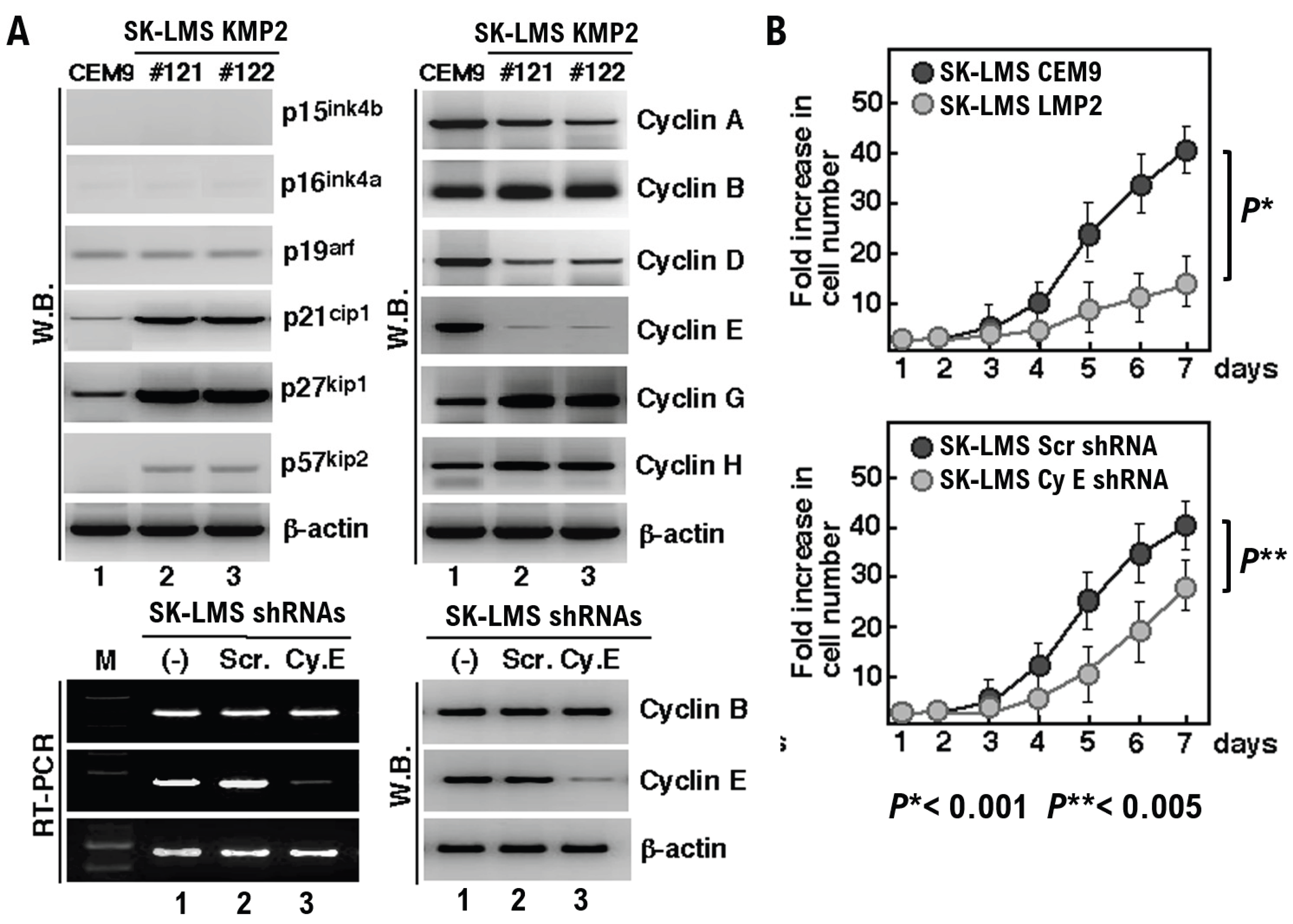 Preprints 185343 g001